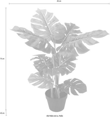 Kunstpflanze Splitphilopflanze, I.GE.A., Höhe 75 cm