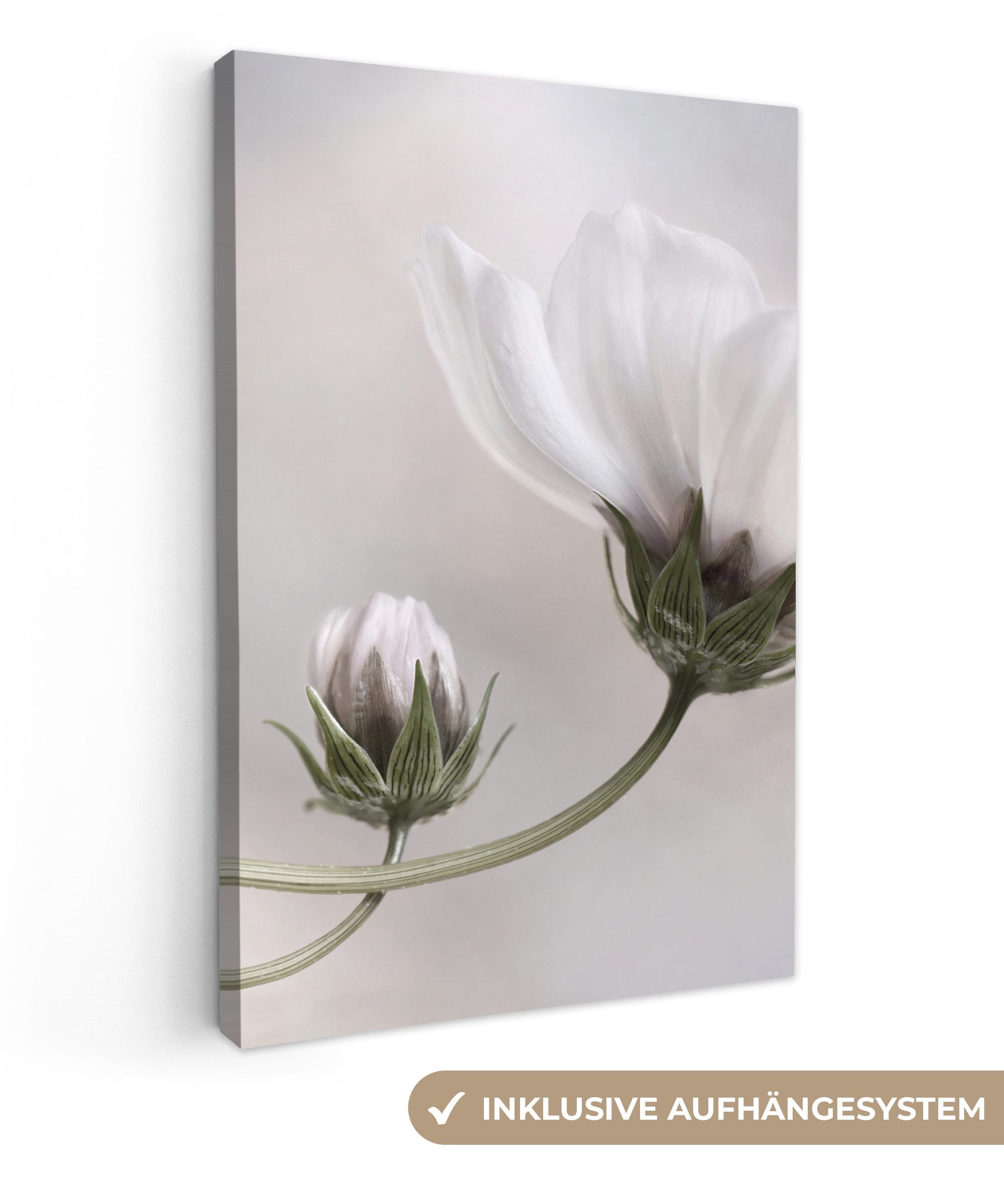 OneMillionCanvasses® Leinwandbild Blumen - Stillleben - Natur - Grau, Fotod günstig online kaufen