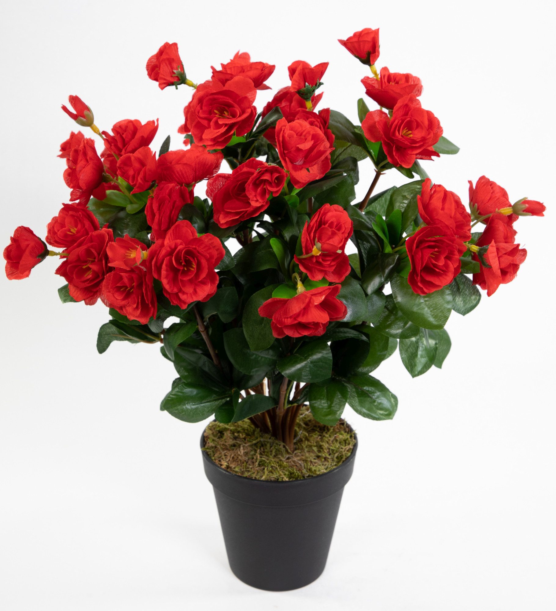 Kunstblume Azalee 40cm im Topf ZF Kunstpflanzen Kunstblumen künstliche Pfla günstig online kaufen
