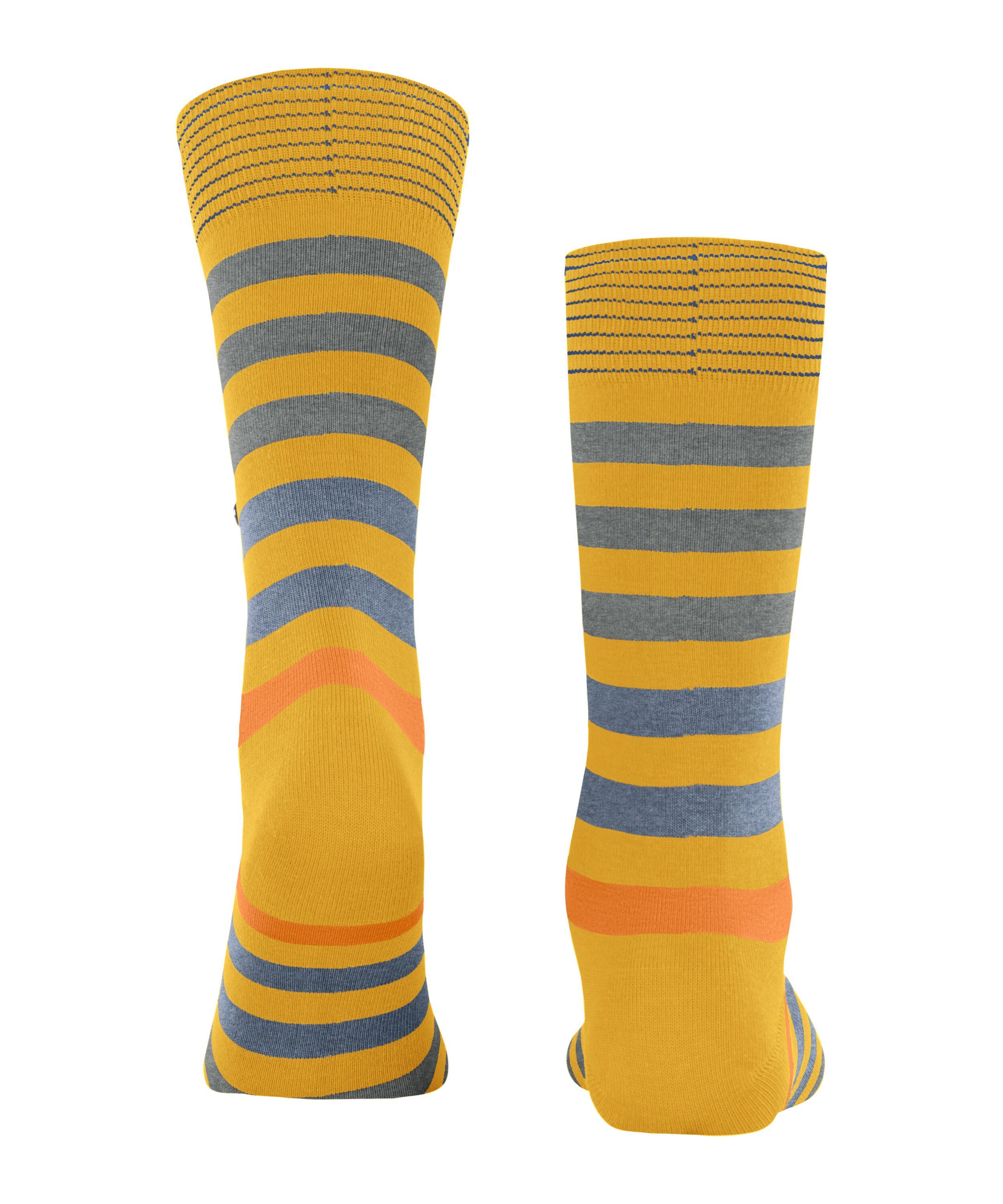 Blackpool Socken (1314) (1-Paar) solar Burlington