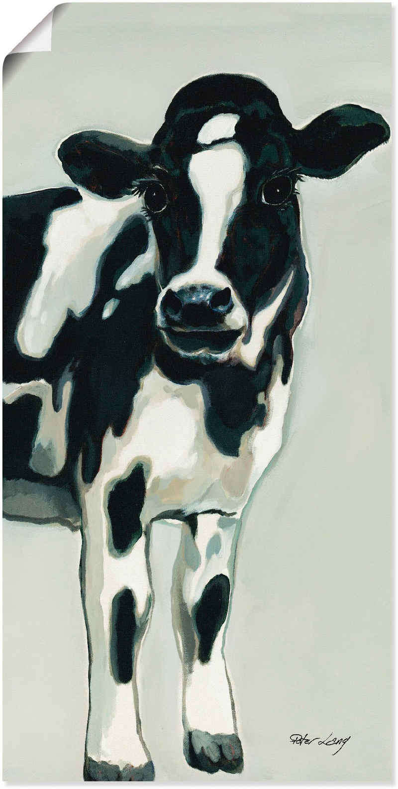 Artland Wandbild Kuh, Haustiere (1 St), als Alubild, Outdoorbild, Leinwandbild, Poster, Wandaufkleber