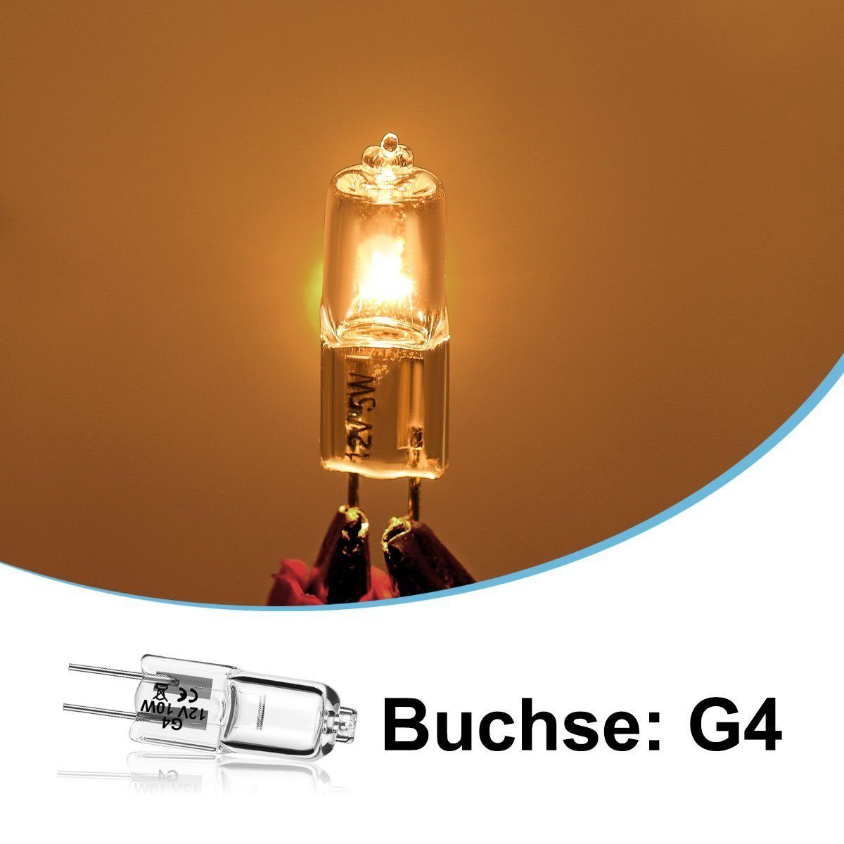 LETGOSPT Flutlichtstrahler Stiftsockellampen G4 10x 12V 10W Dimmbar Halogen