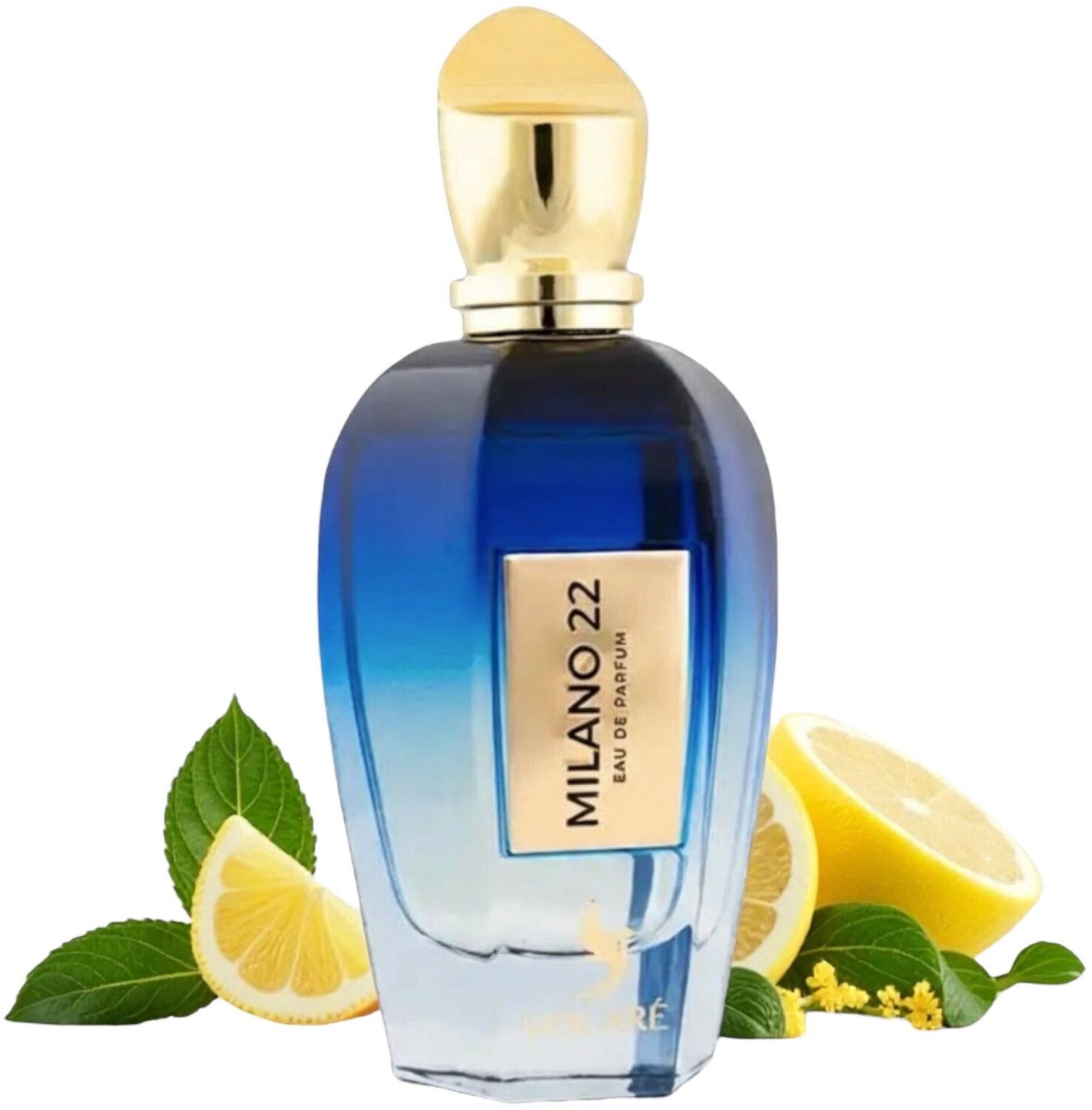 Mamlakat Al Oud Eau de Parfum Milano 22 Unisex