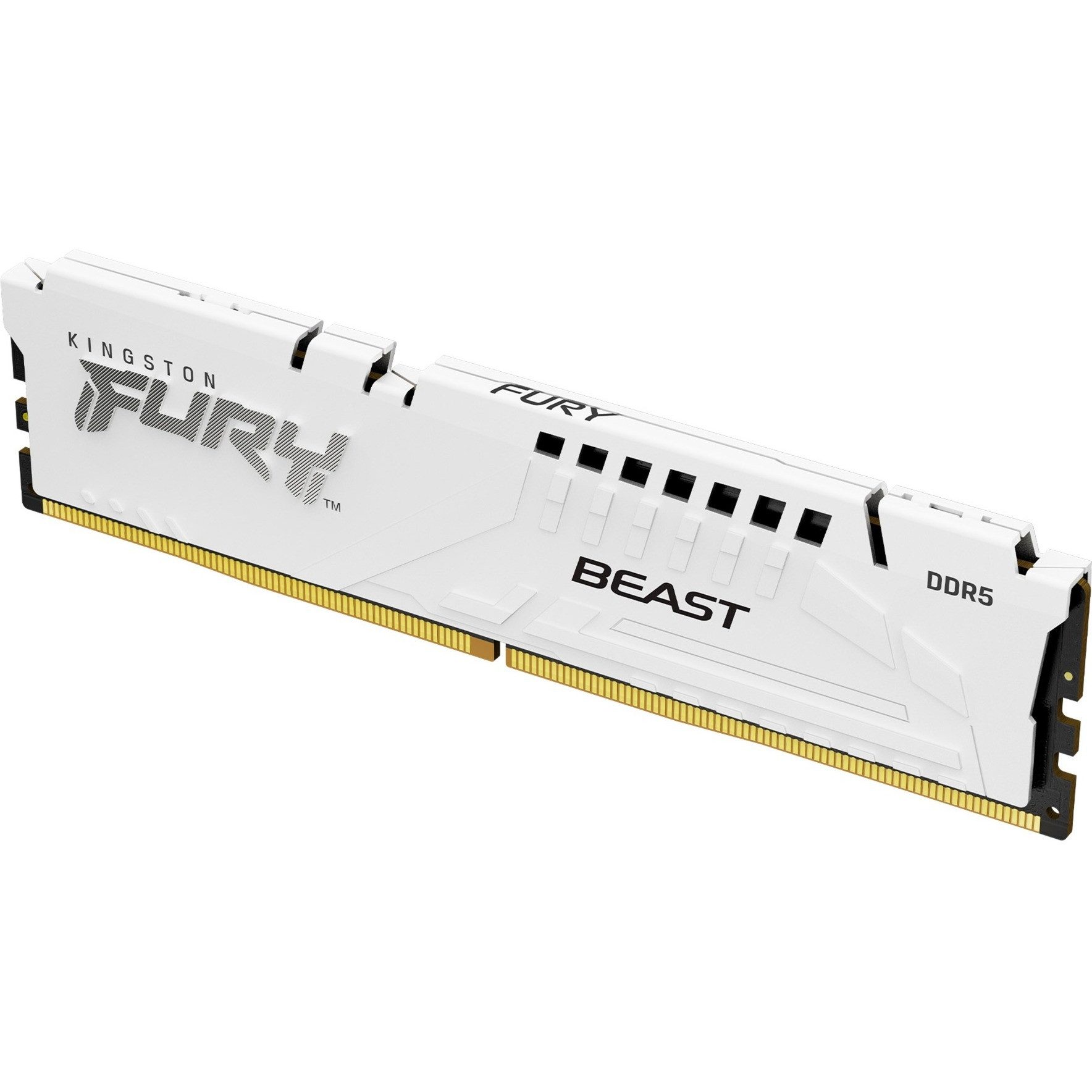 Kingston FURY DIMM 16 GB DDR5-6000 RAM CL30 Single Desktop on-die ECC PC-Arbeitsspeicher (CL30 (30-36-36)