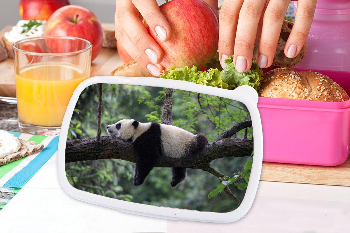 - Kunststoff MuchoWow Lunchbox - Mädchen, Baum Natur, Panda für Kunststoff, (2-tlg), rosa Brotdose Tiere Brotbox - Erwachsene, Snackbox, Kinder,