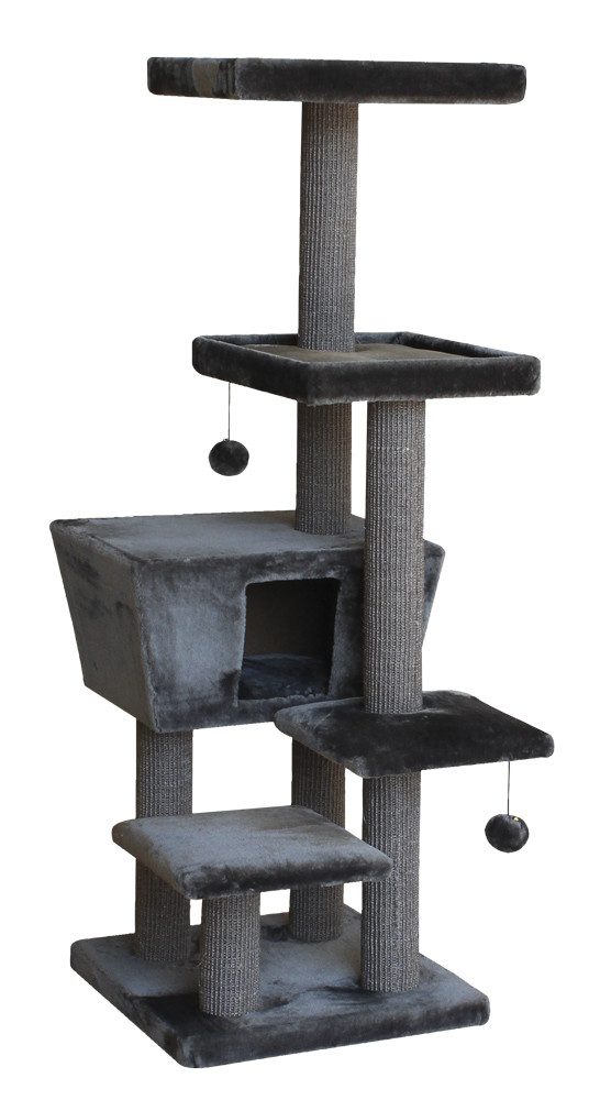 Nobby Kratzbaum Motega