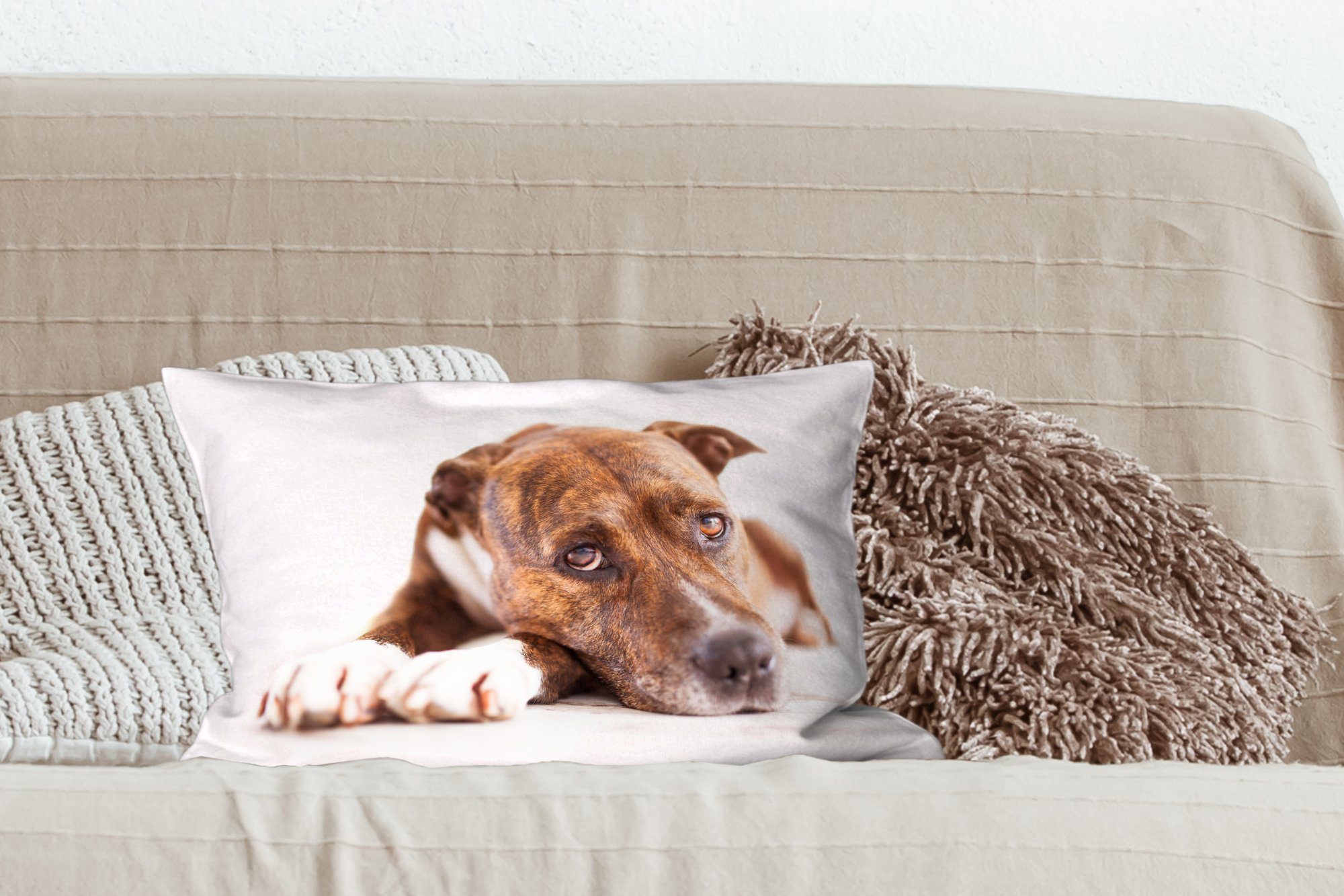 Dekokissen Dekokissen mit Schlafzimmer Füllung, Hund Liegender Zierkissen, Fotodruck, MuchoWow Wohzimmer Dekoration,