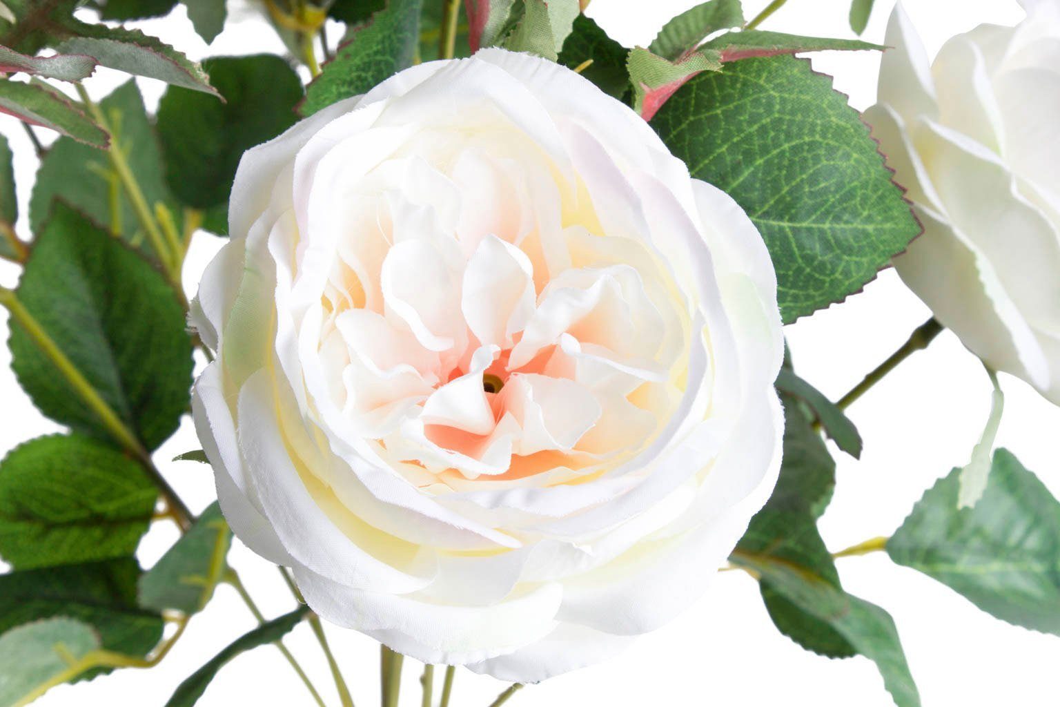 Kunstblume Englischer Rosenbusch Rose, cm 46 Höhe Botanic-Haus