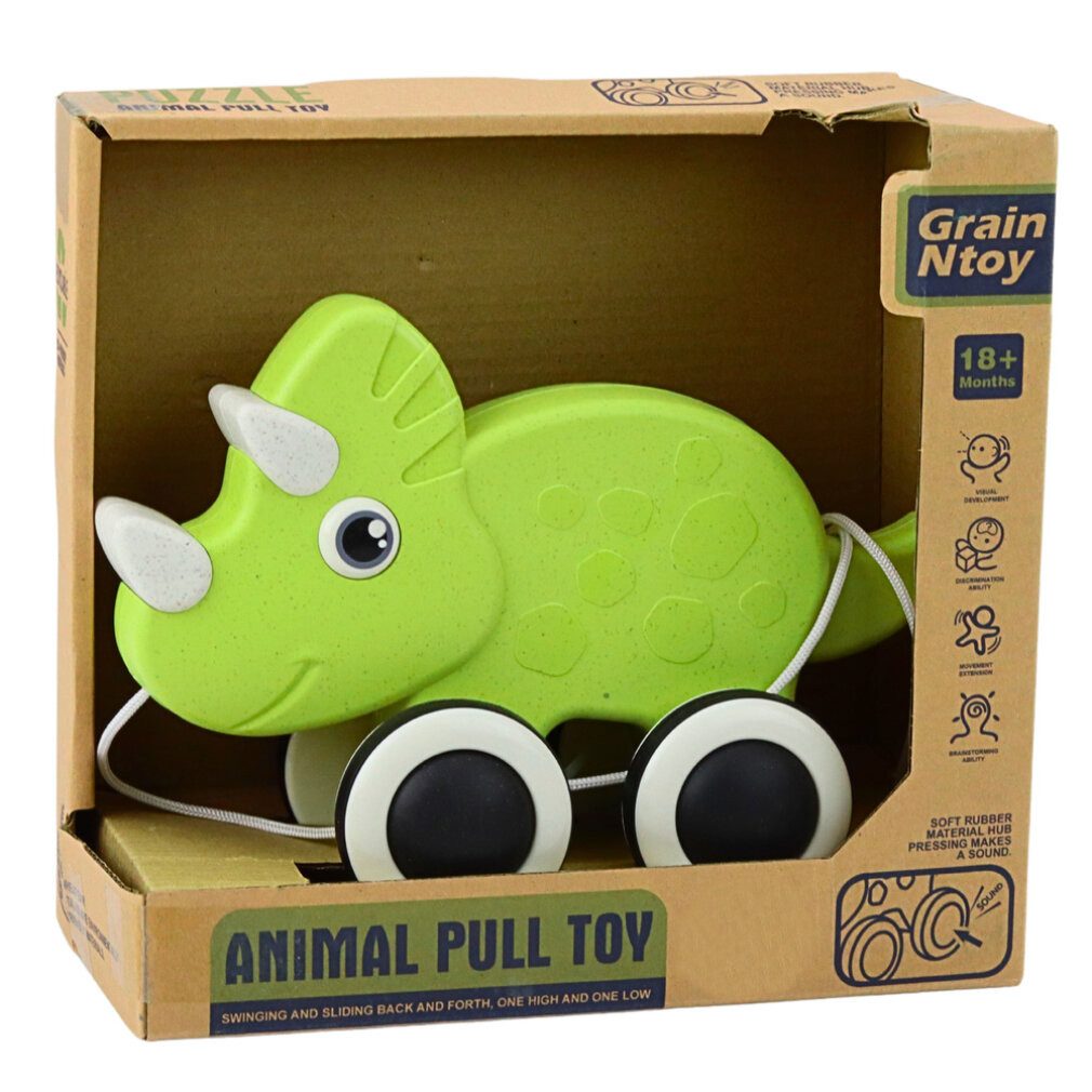 LEAN TOYS Spielzeug-Boot Lean Dinosaurier Pull-On String Toy Squeaker Eco Grün