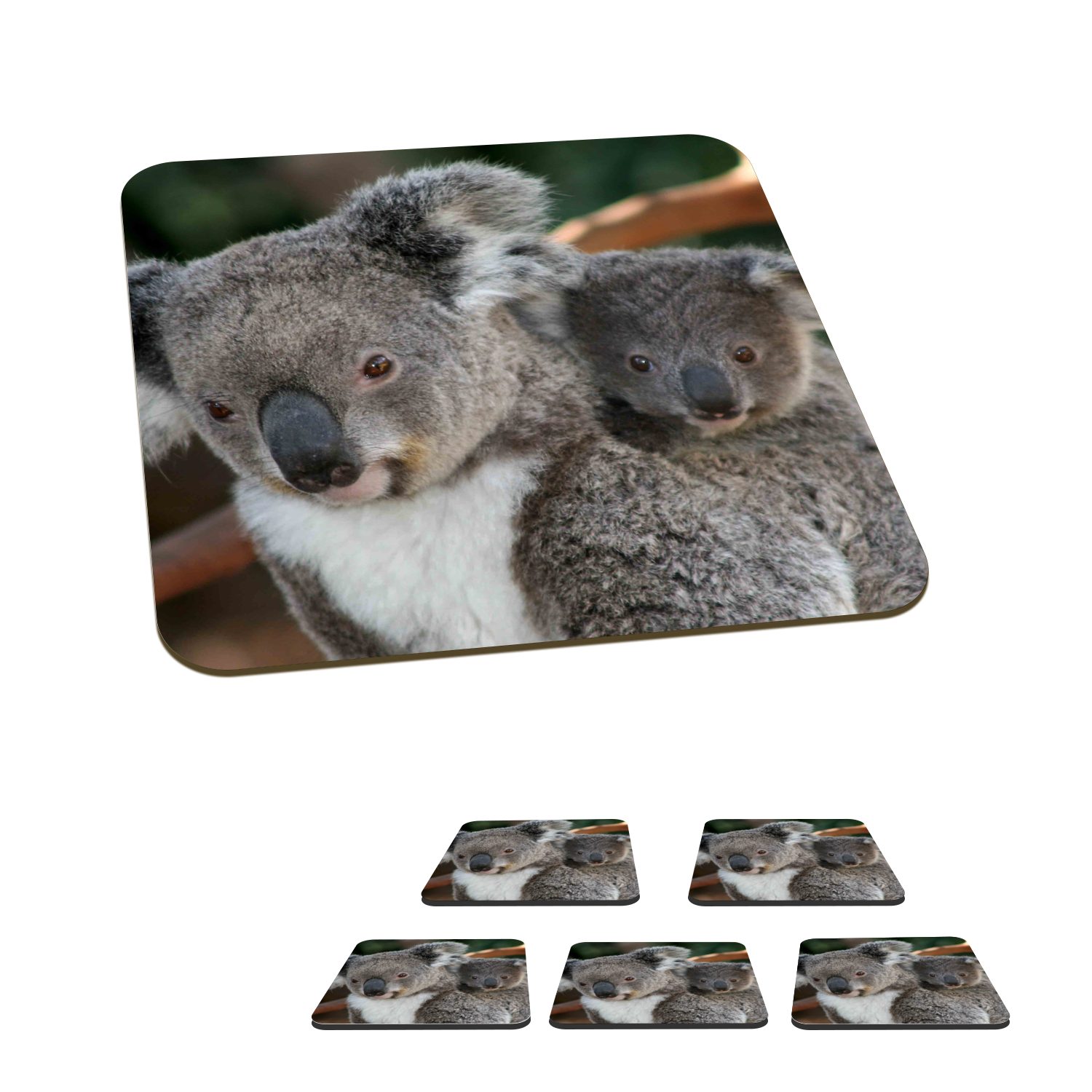 MuchoWow Glasuntersetzer Koalas - Vater - Kind - Jungen - Mädchen, Zubehör für Gläser, 6-tlg., Glasuntersetzer, Tischuntersetzer, Korkuntersetzer, Untersetzer, Tasse