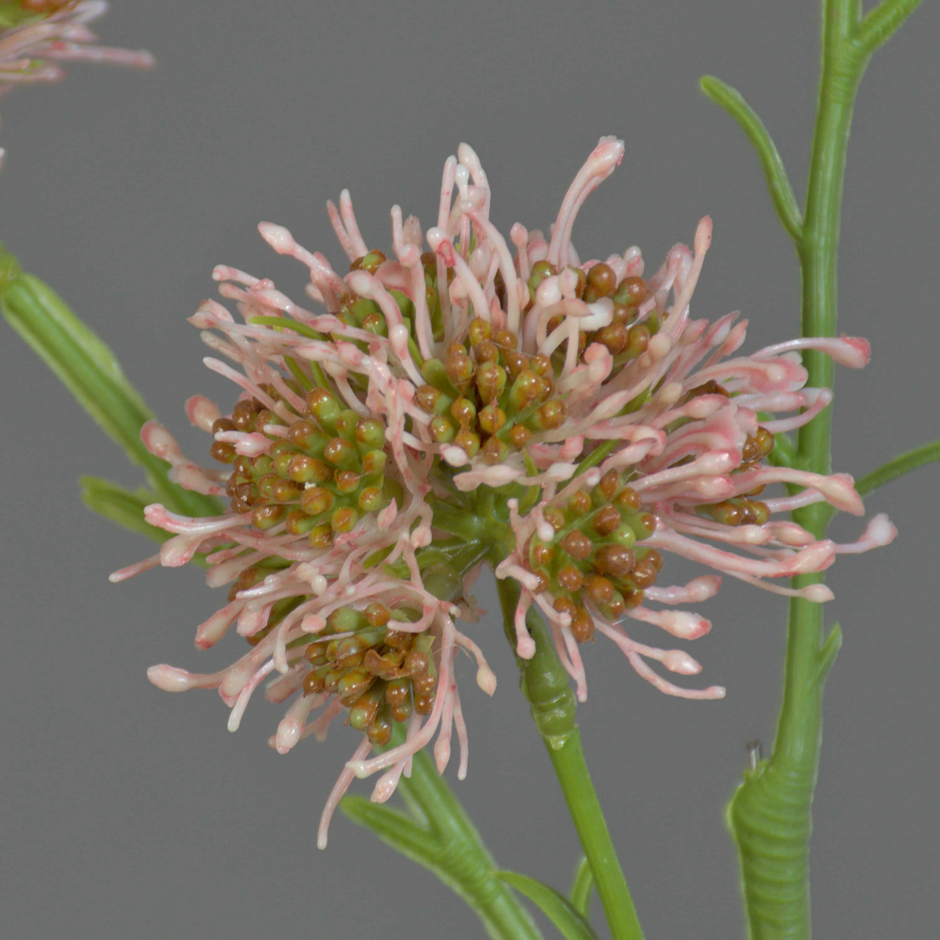 Kunstzweig Kunstblumen Zweig Allium Zebu, rosa, 65cm, Ø6cm Allium, artplants, Höhe 65.0 cm