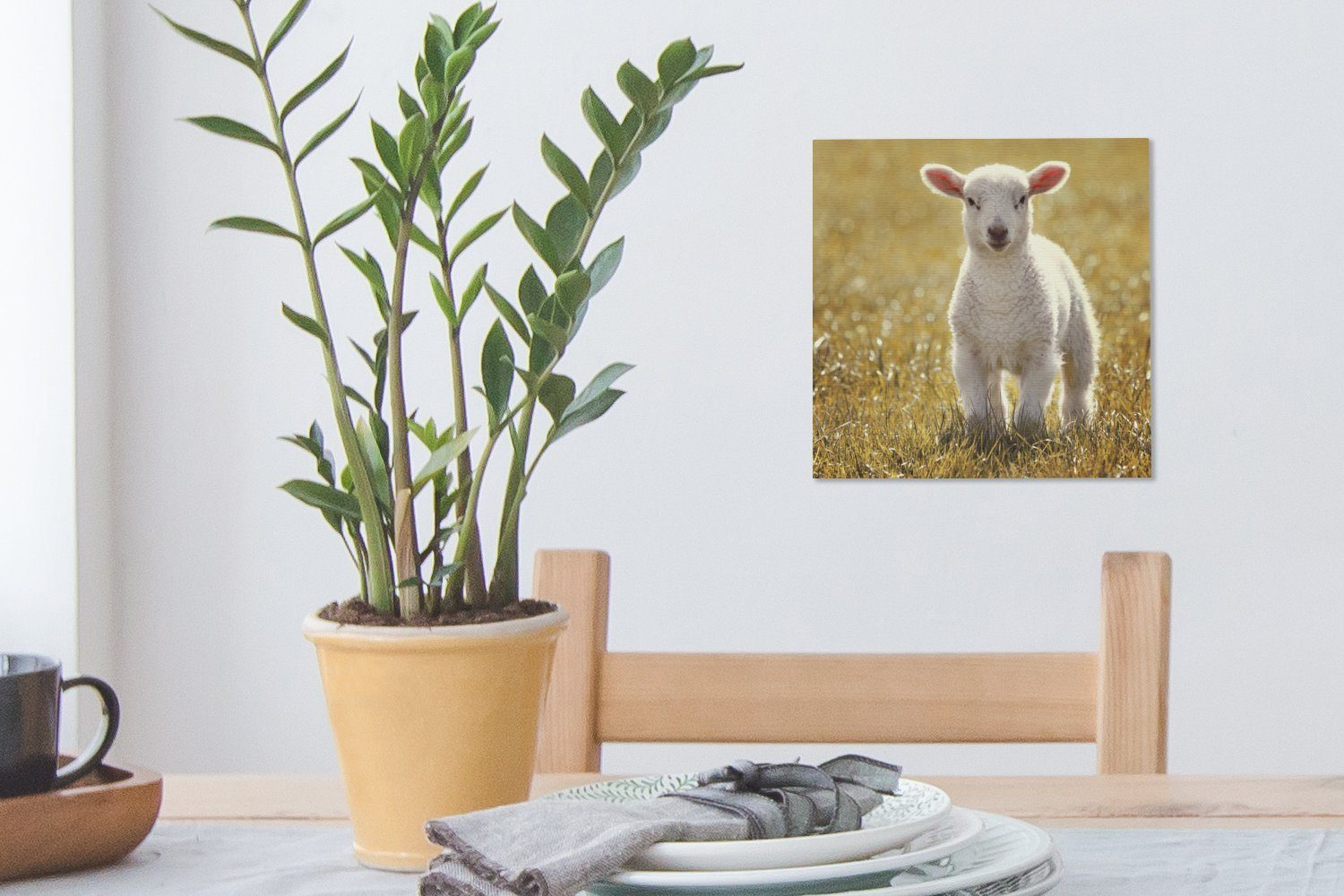 St), Leinwandbild (1 Gras Lamm OneMillionCanvasses® Wohnzimmer Schlafzimmer - Leinwand Sonne, Bilder für - bunt