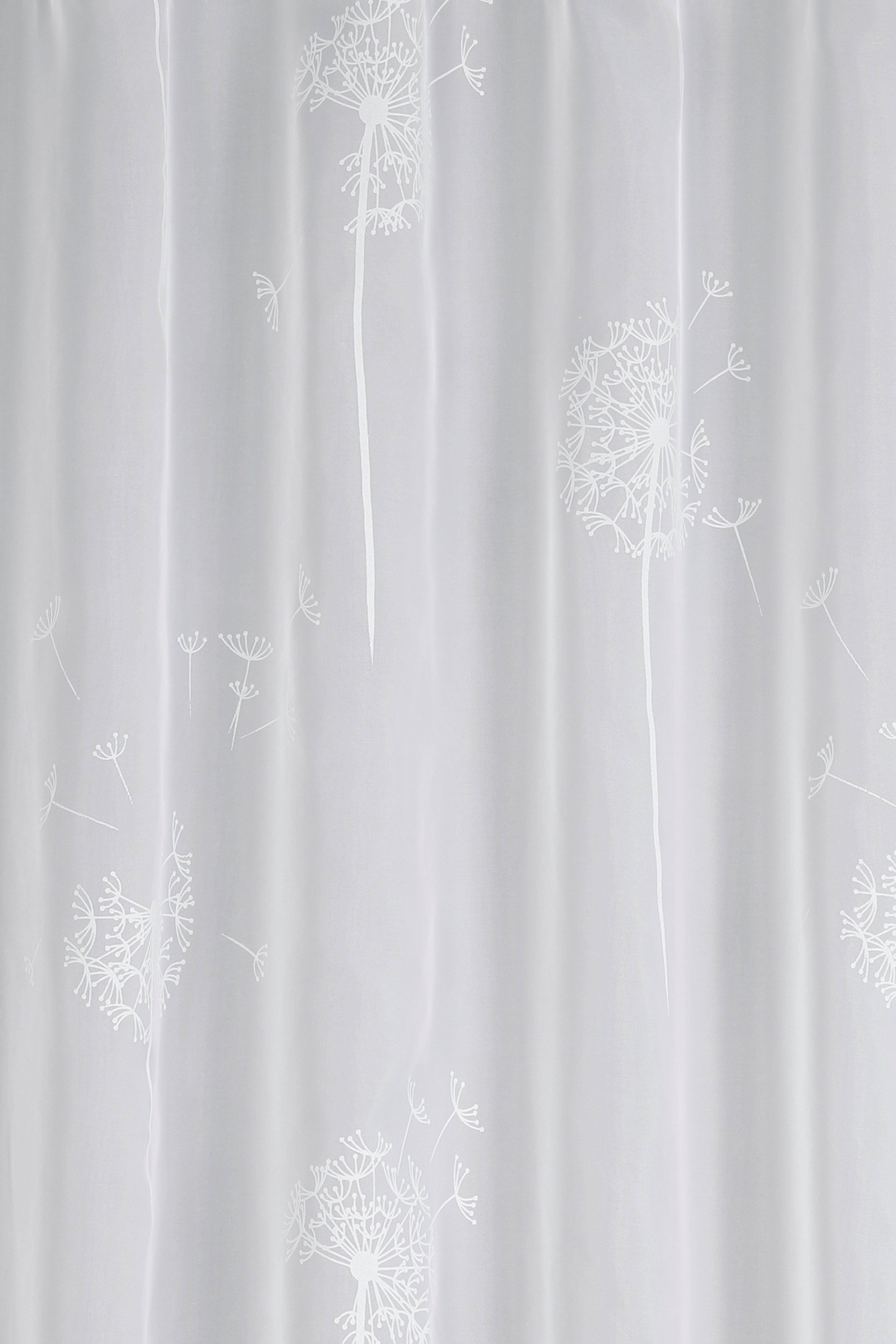 Sehlbach Gardine Schal Voile mit Flockprint Pusteblume (1 St), Schlaufen, transparent, mit Schlaufen