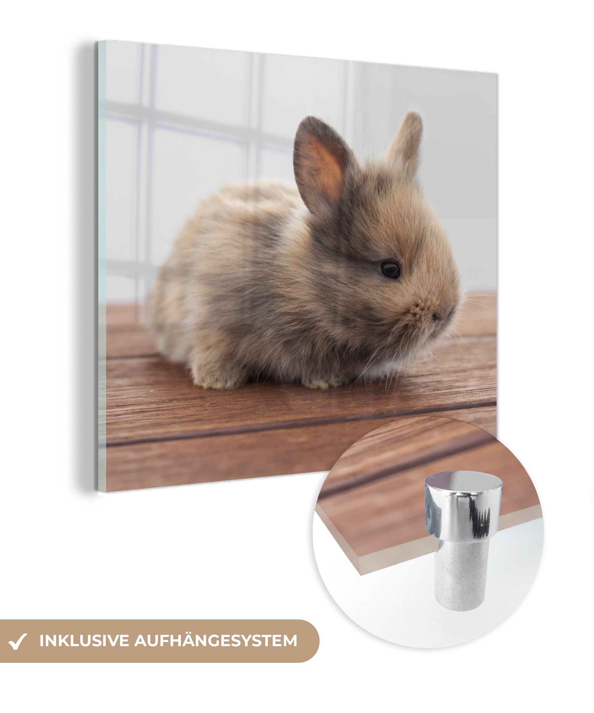 MuchoWow Acrylglasbild Baby Kaninchen St), Bilder - - auf Glasbilder Foto Holz, Glas Wandbild (1 - Wanddekoration auf - Glas 