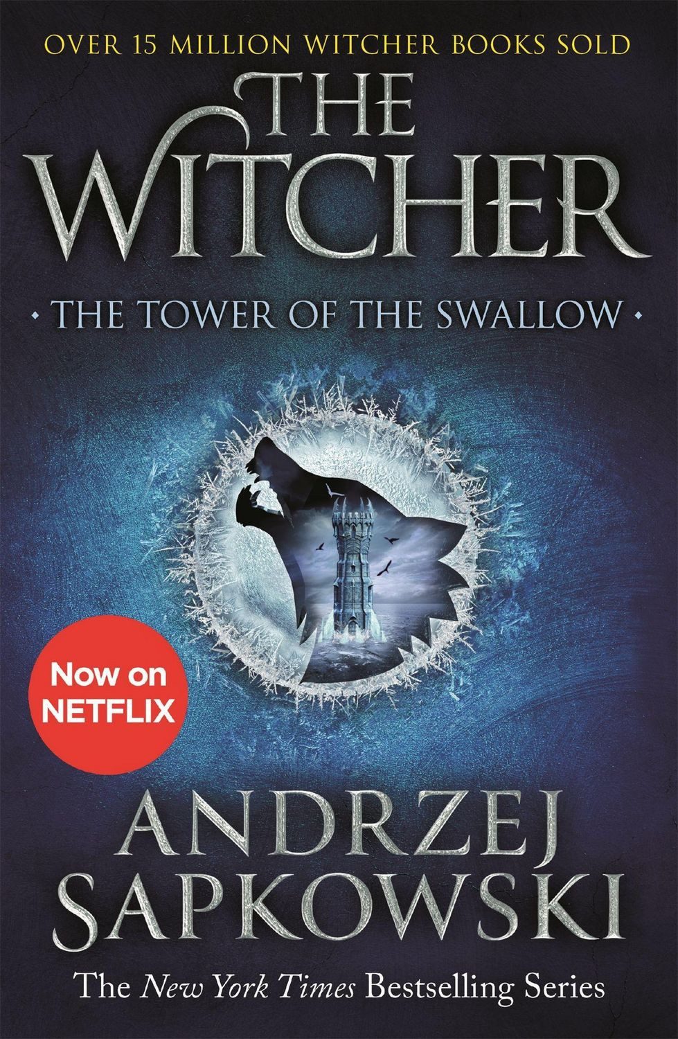 Belletristik The Tower of the Swallow Witcher 4 - Now a major Netflix show Andrzej Sapkowski