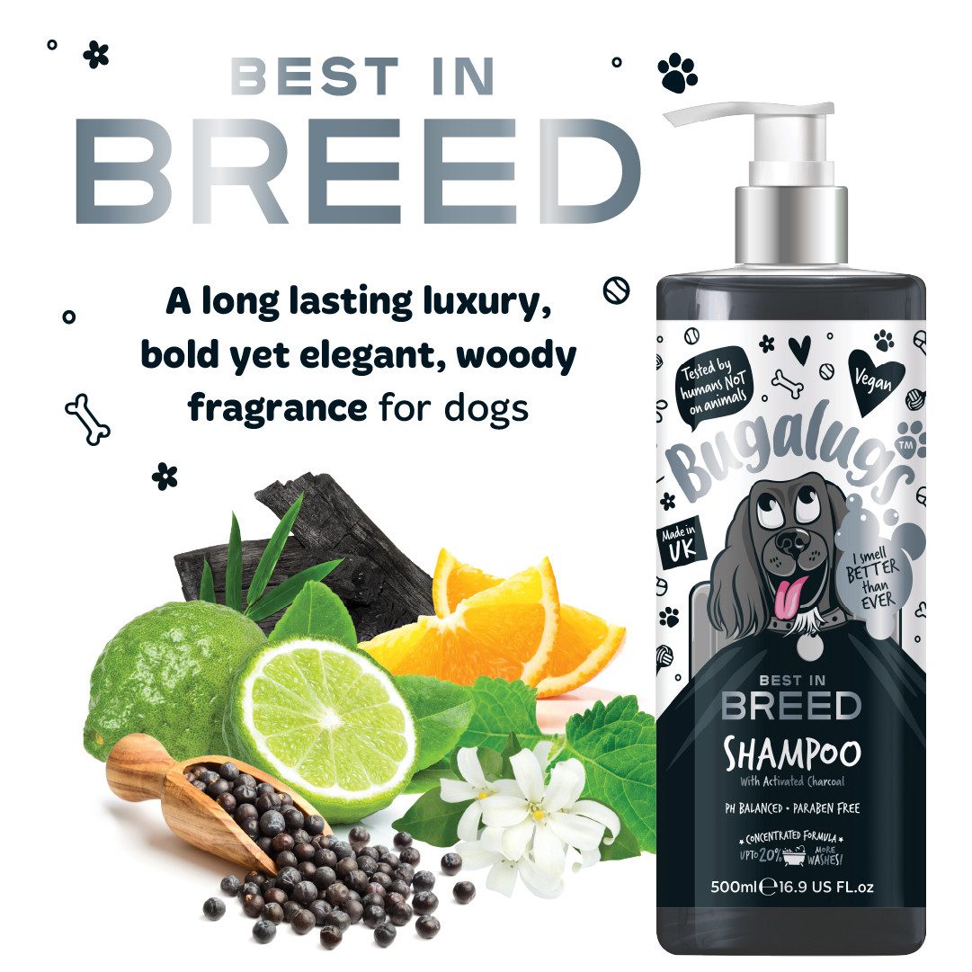 Tiershampoo Bugalugs bestes Hunde Pflegeshampoo mit Aktivkohle Zitrusfrüchte Duft