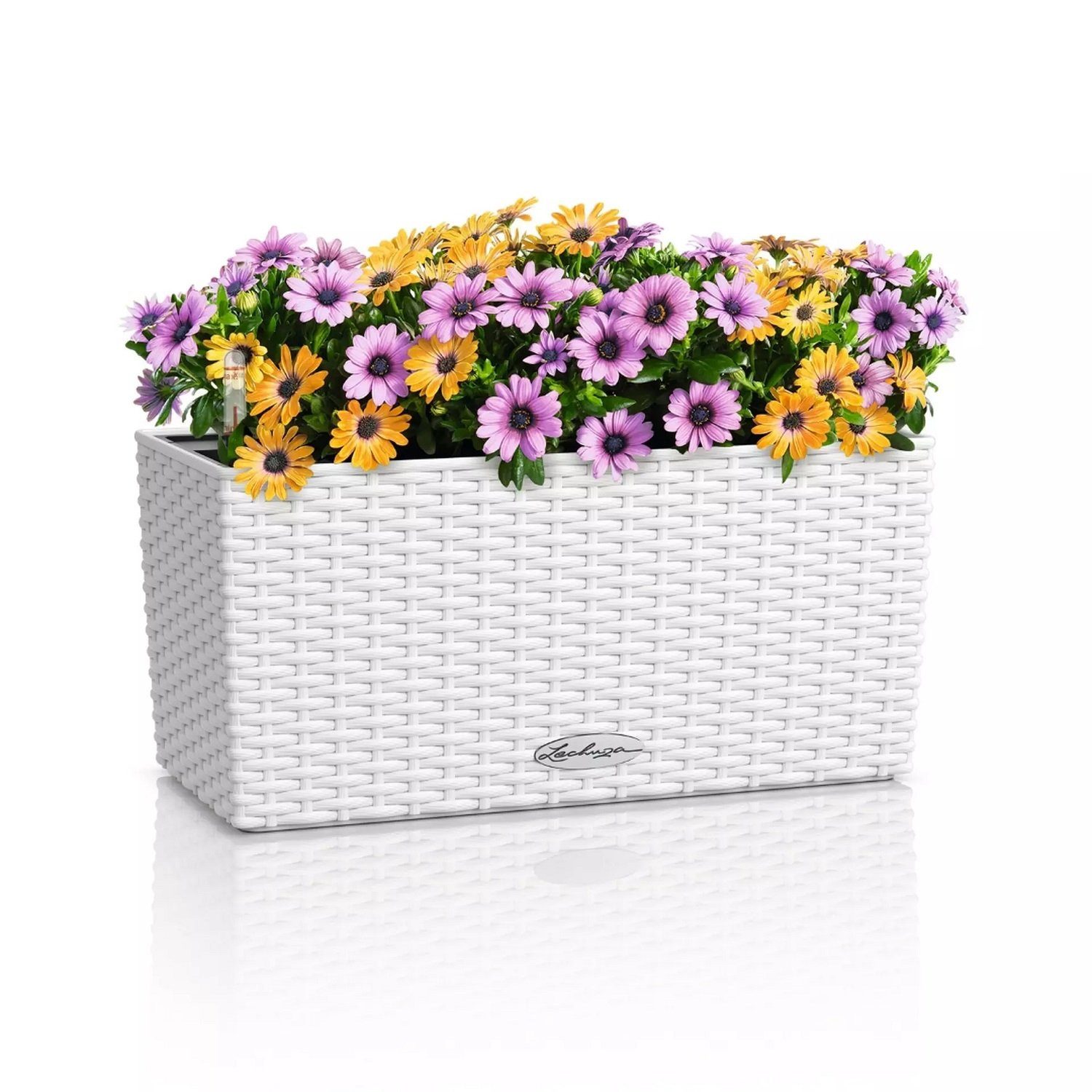 Lechuza® Balkonkasten Balconera Cottage 40 weiß