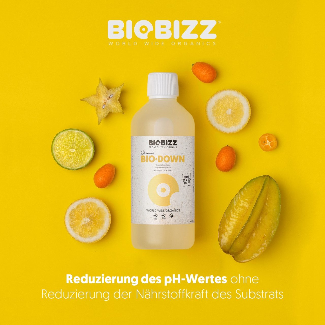 Biobizz Pflanzendünger BioBizz Grow Bio-Down pH-Regulator 250 ml – Bild 3 von 5