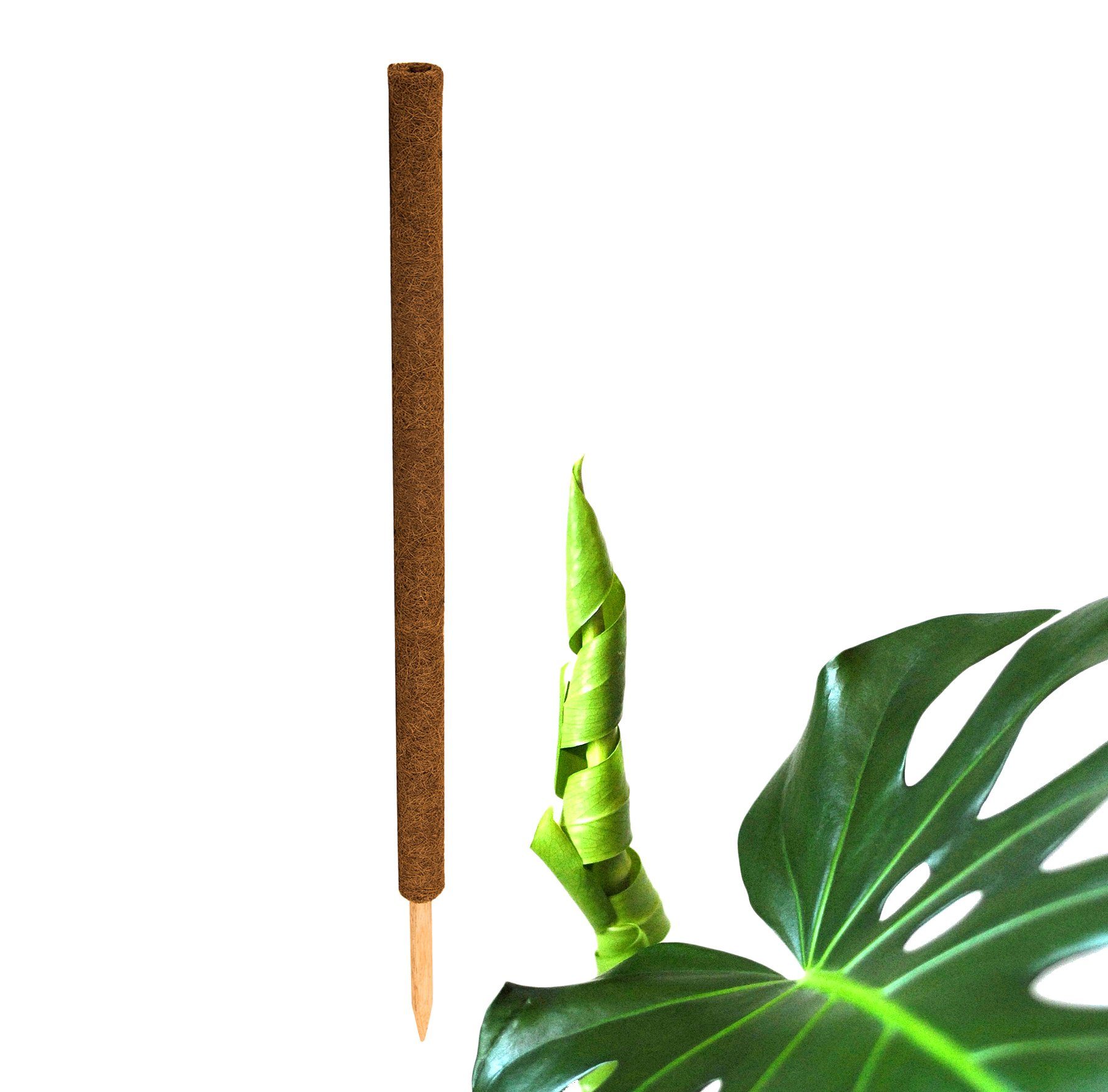 BigDean Ranksäule Kokos Pflanzstab 110 cm Rankstab Rankhilfe Blumenstab Packung, 1 St., 1 stab, Rankhilfe, Monstera Rankhilfe, Pflanzstab aus Kokos, Moosstab