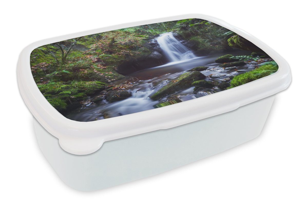 Lunchbox (2-tlg), Brotbox Mädchen Erwachsene, - und weiß Wasser, Jungs für Wasserfall Kunststoff, Brotdose, Kinder für Natur und MuchoWow -