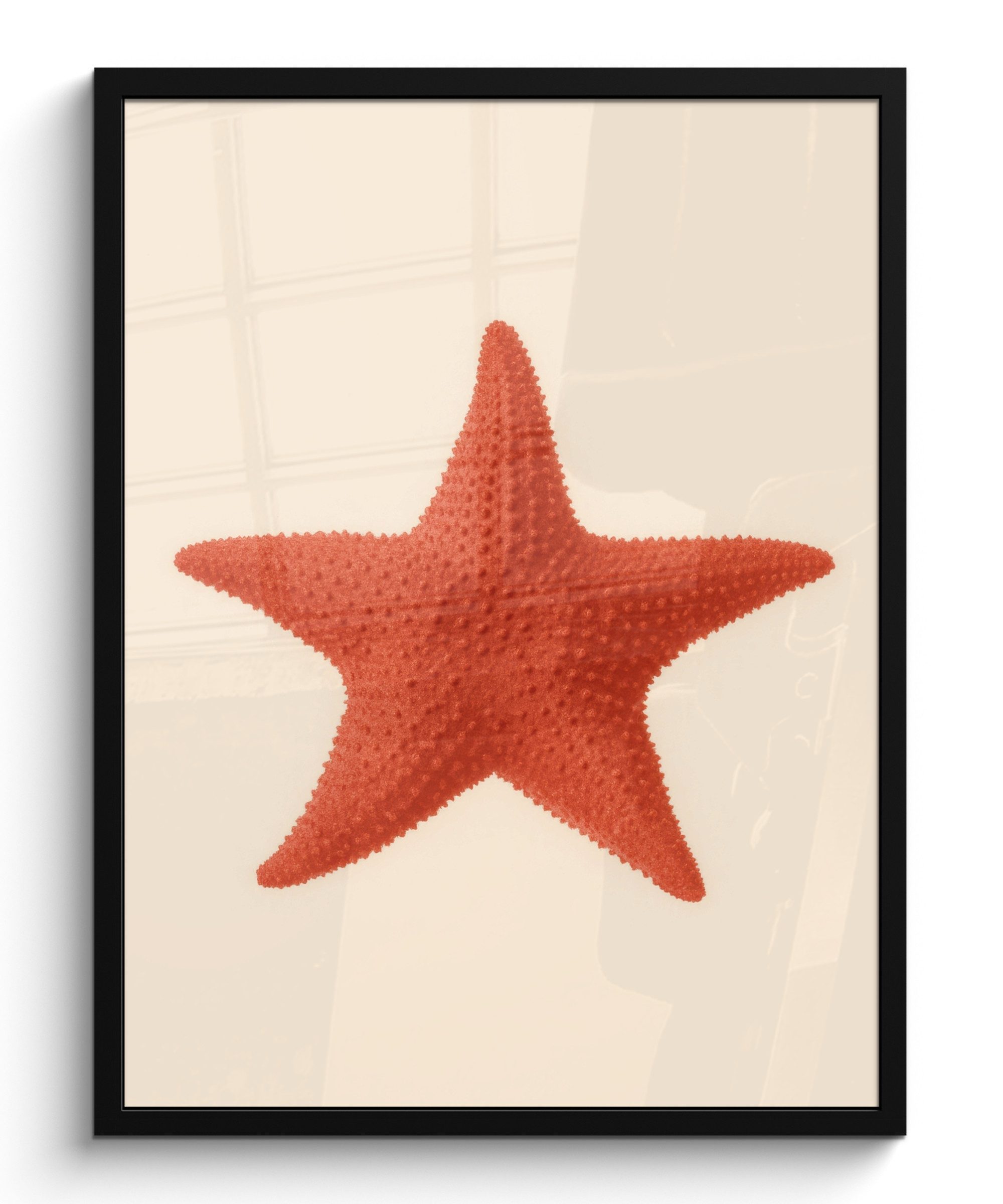 Poster Seestern - Bobbles - Rot