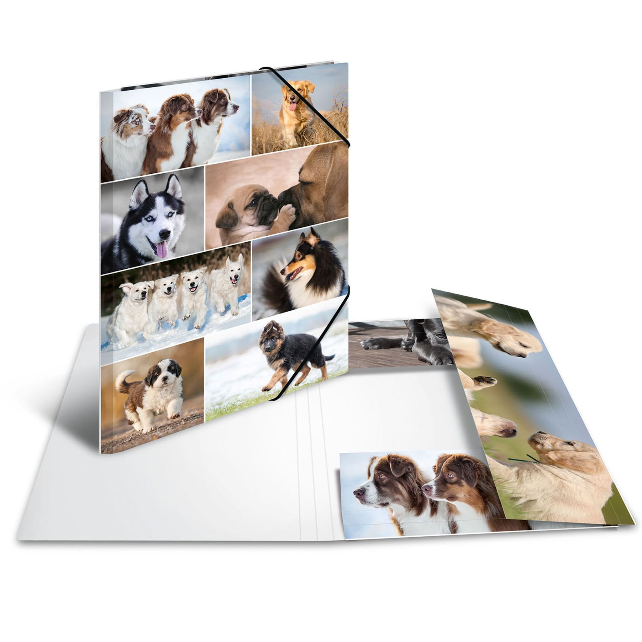 HERMA Organisationsmappe Herma Sammelmappe Eckspanner Karton A3 Hunde