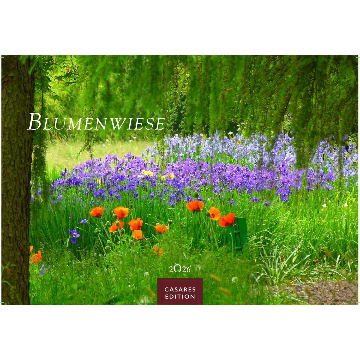 Wandkalender Blumenwiese Kalender 2026 - Wandkalender, Fotokalender...