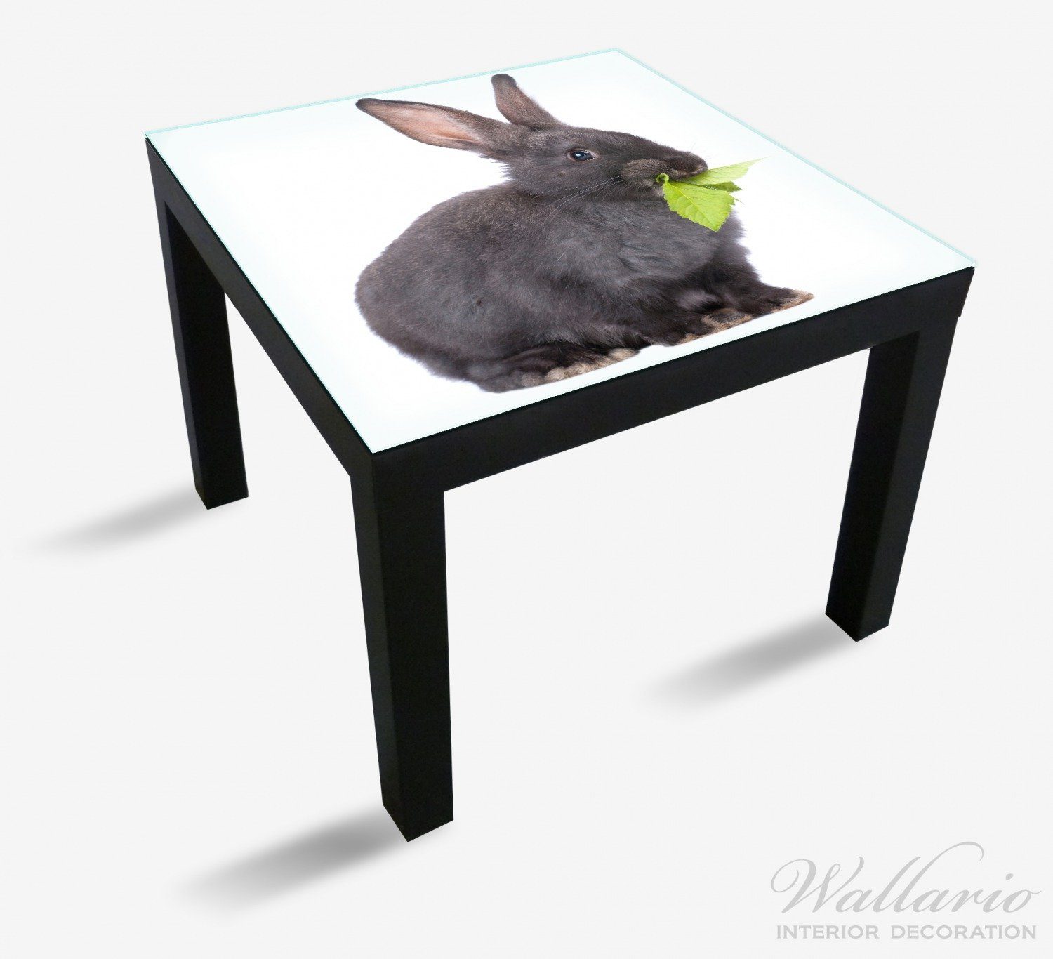 Wallario Ikea Grünzeug Tisch geeignet mit Lack Süßes St), Kaninchen beim für Futtern Tischplatte (1