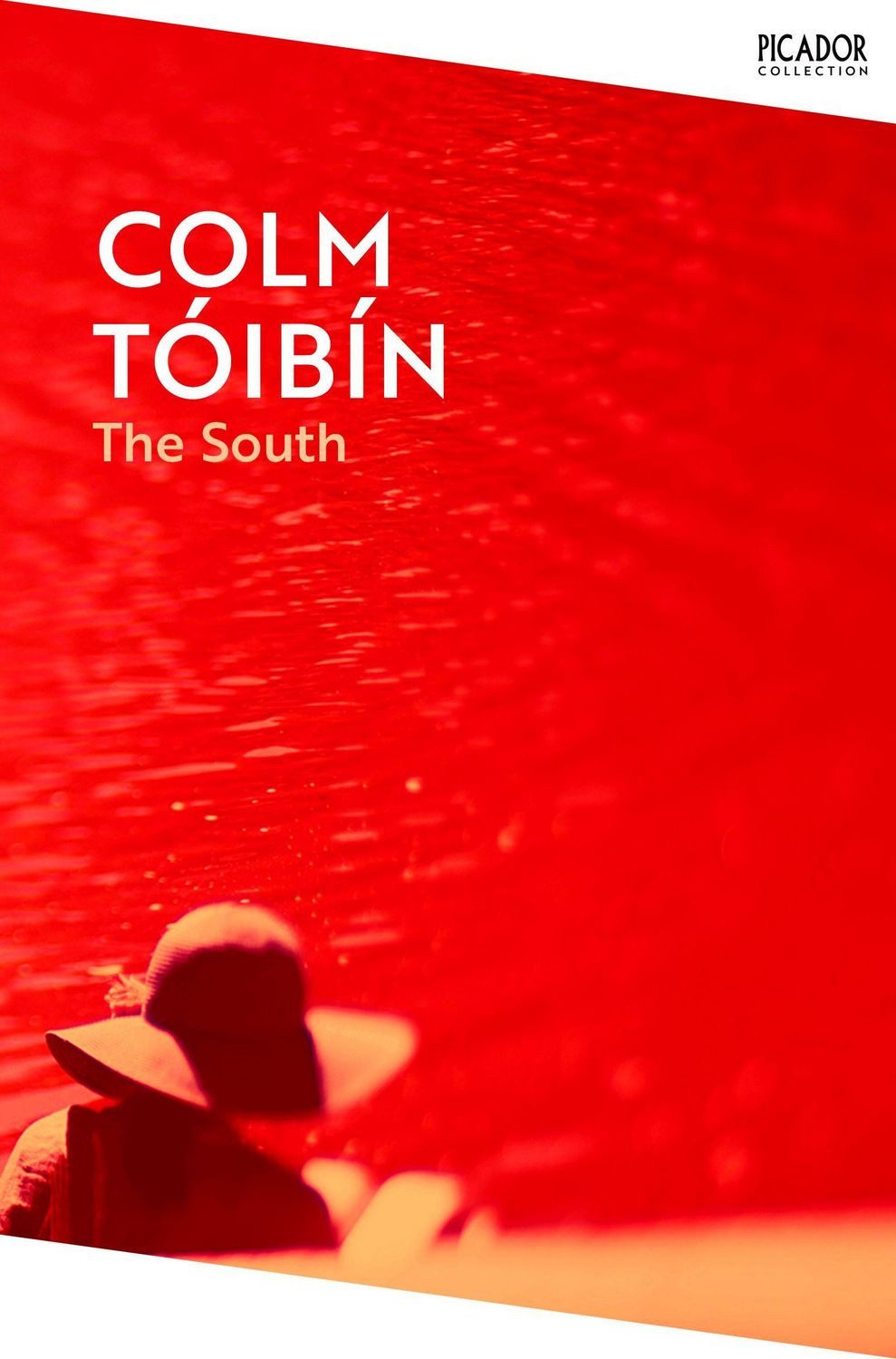 The South / Colm Tóibín