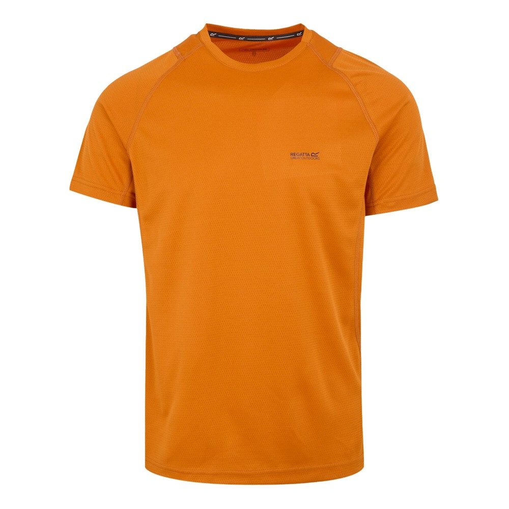 Regatta T-Shirt Regatta VirdaIV T-Shirt Herren günstig online kaufen