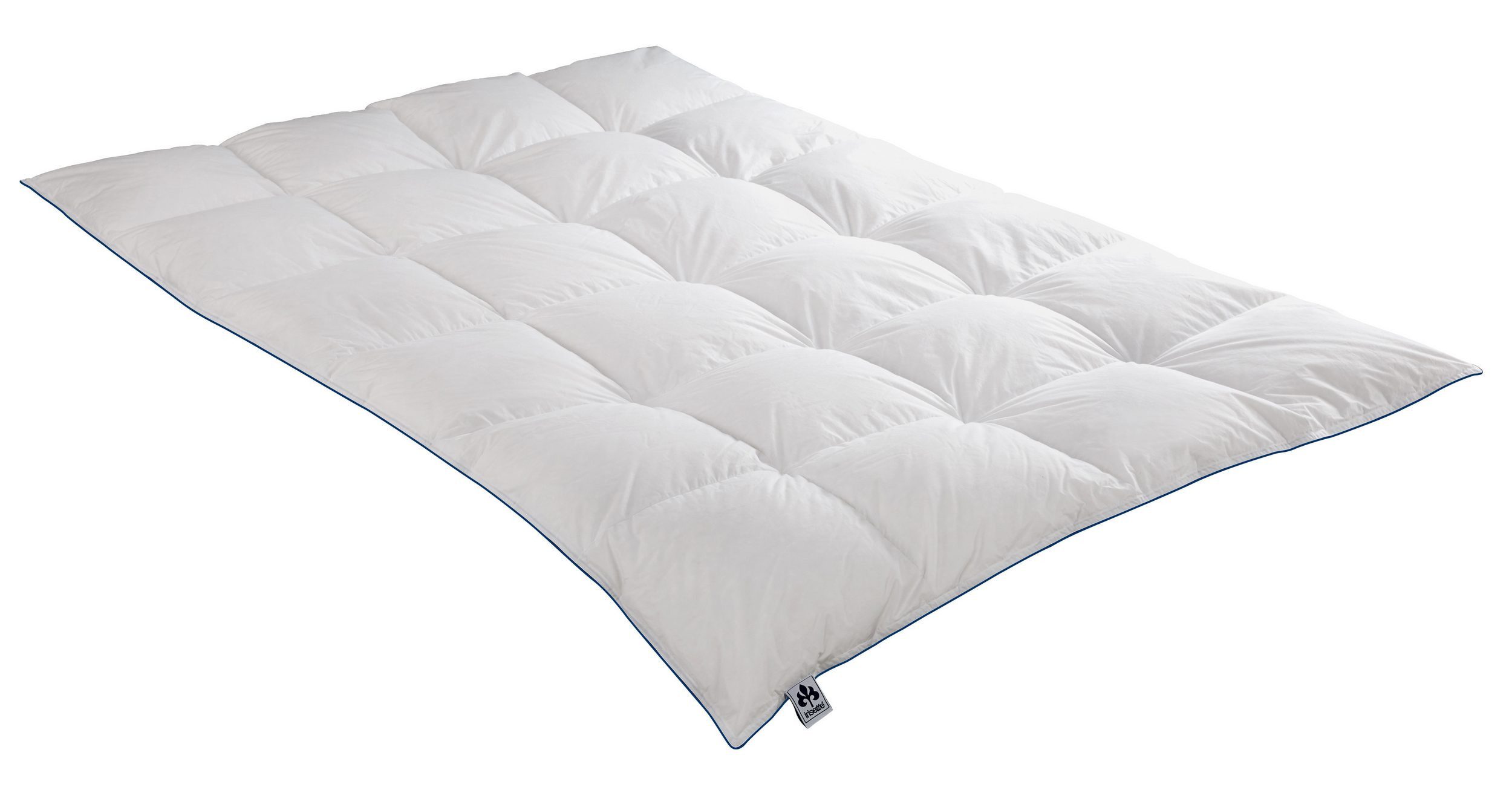 Irisette Daunenbettdecke Daunendecke Luna, Füllung: 100% Gänsedaunen, Bezug günstig online kaufen