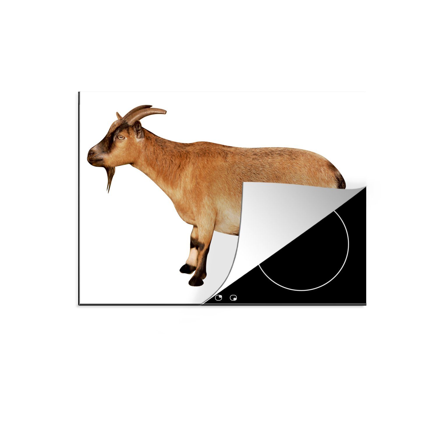 MuchoWow Herdblende-/Abdeckplatte Ziege wartet auf die kleinen Ziegen, Vinyl, (1 tlg), 70x52 cm, Mobile Arbeitsfläche nutzbar, Ceranfeldabdeckung