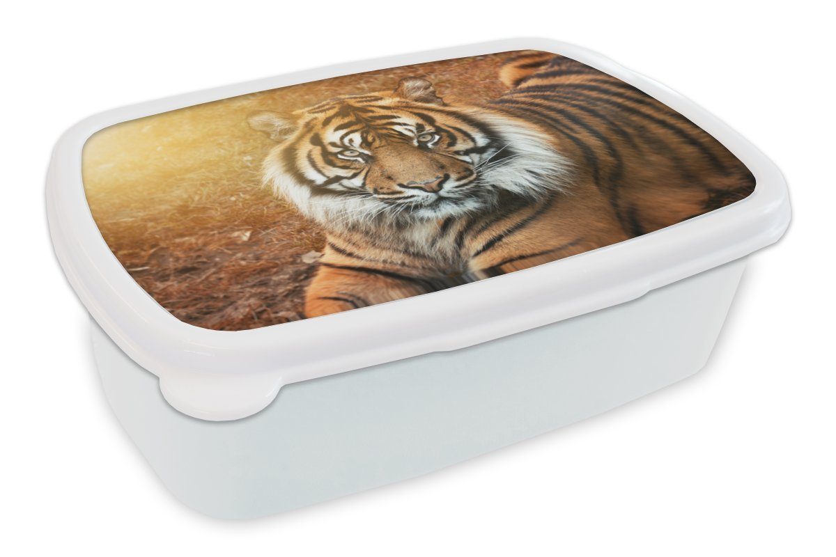 MuchoWow Lunchbox Porträt - Tiger - Sonne, Kunststoff, (2-tlg), Brotbox für Kinder und Erwachsene, Brotdose, für Jungs und Mädchen weiß