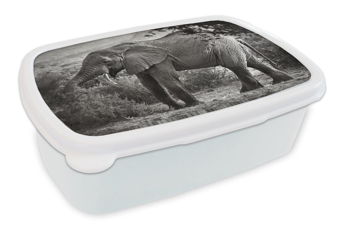 MuchoWow Lunchbox Elefant - Tiere - Bäume - Schwarz - Weiß, Kunststoff, (2-tlg), Brotbox für Kinder und Erwachsene, Brotdose, für Jungs und Mädchen