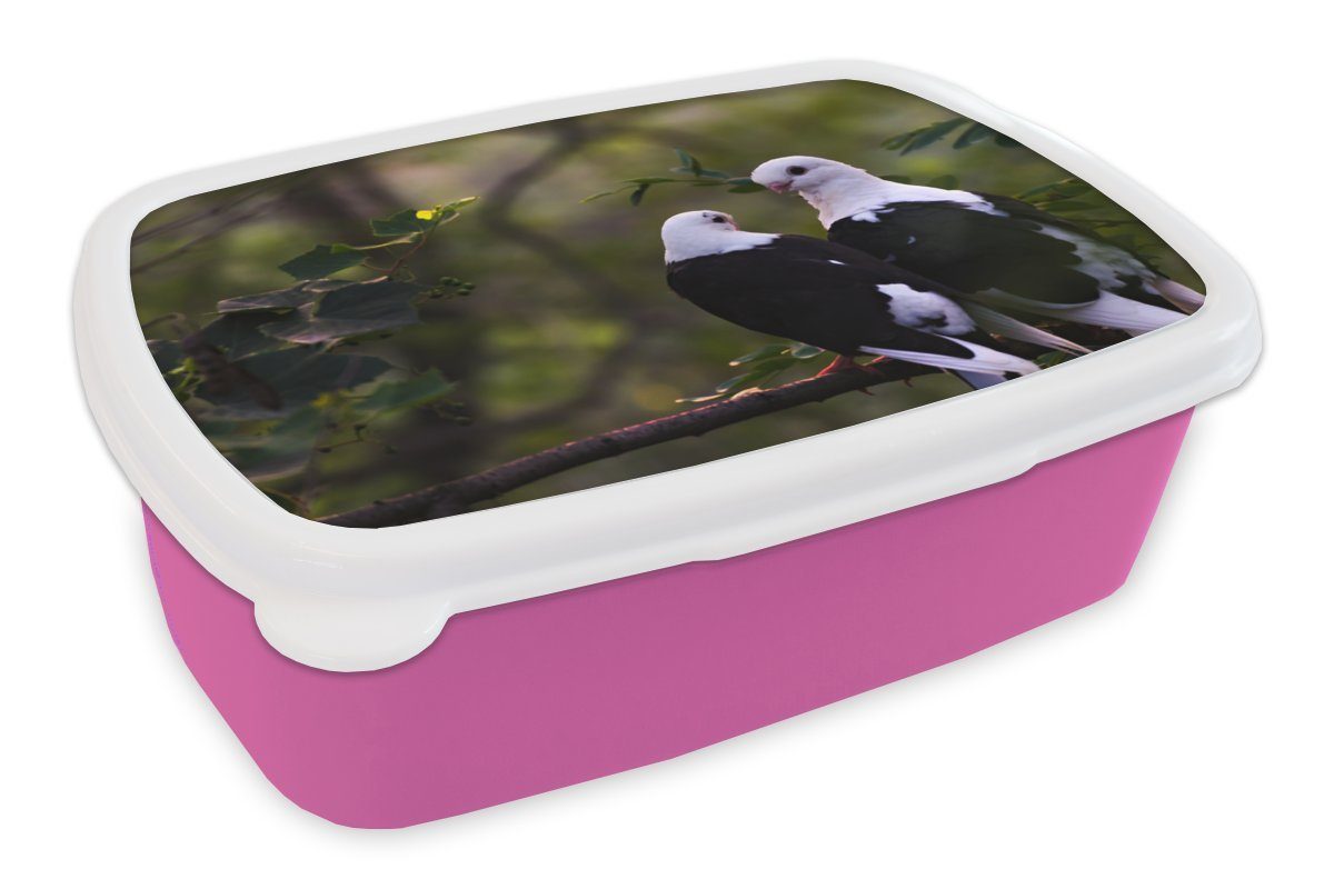 Brotbox Mädchen, Snackbox, Brotdose (2-tlg), MuchoWow Blätter, Erwachsene, - Kunststoff, Kunststoff - Lunchbox rosa Vögel für Kinder, Zweig