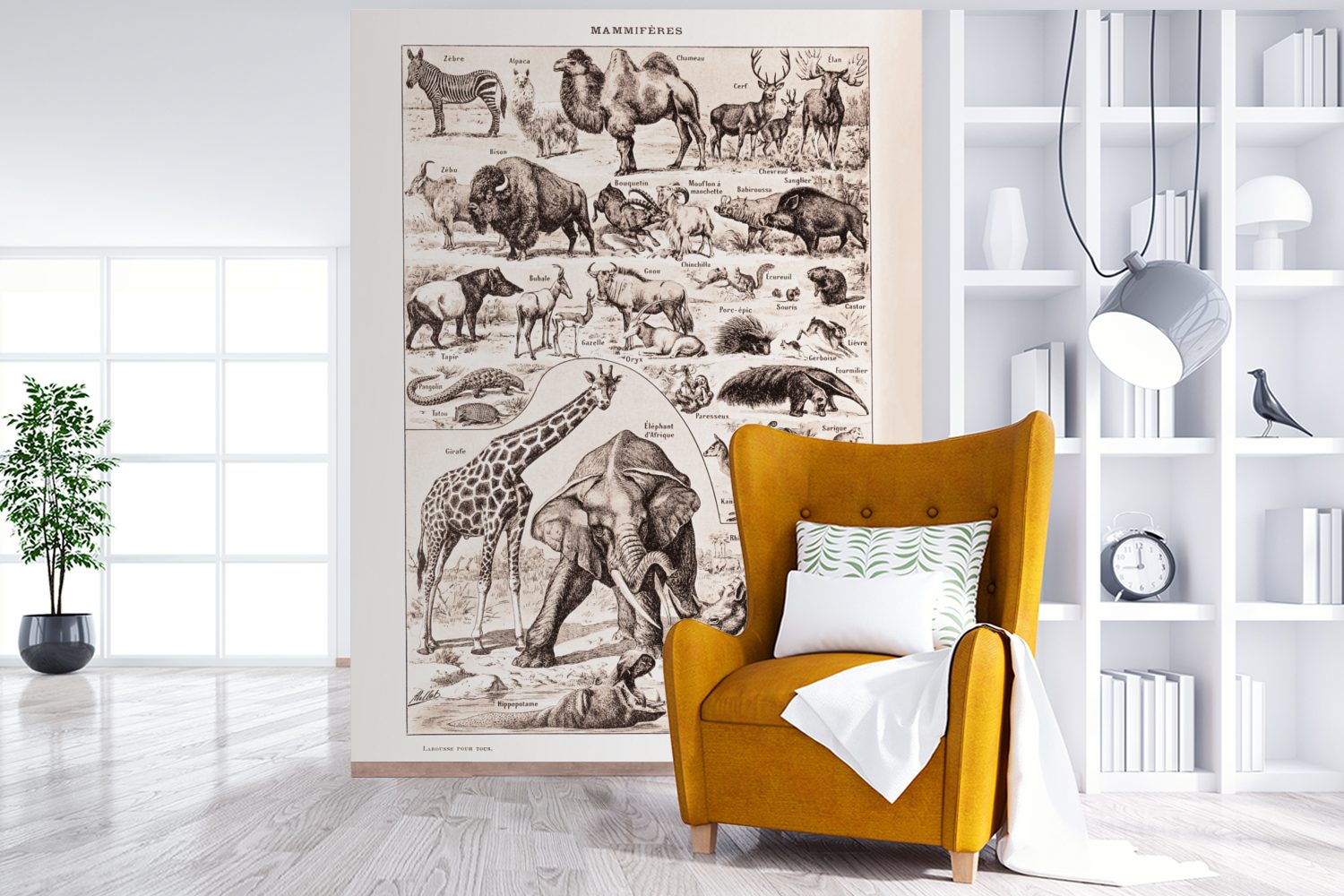 MuchoWow Fototapete St), Elefant (4 Tiere Tapete bedruckt, Schwarz - für Wohnzimmer, Matt, Montagefertig Wandtapete - - Weiß, Vinyl
