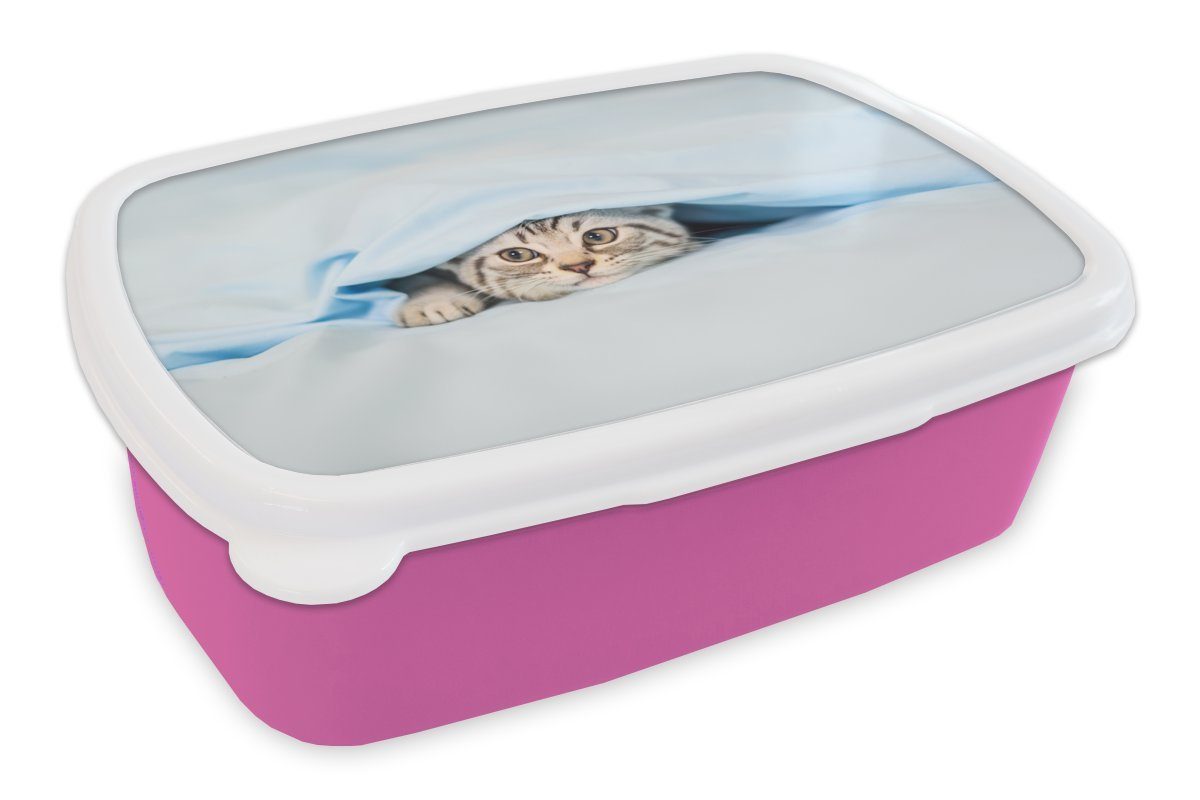 MuchoWow Lunchbox Ein Kätzchen unter einer Decke, Kunststoff, (2-tlg), Brotbox für Erwachsene, Brotdose Kinder, Snackbox, Mädchen, Kunststoff rosa