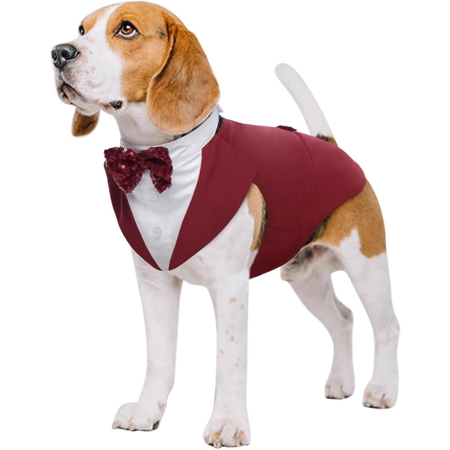Kuoser Hundekostüm Hund Smoking Anzug Bandana Set Fomal Kleidung Hochzeit Halloween S-XXL
