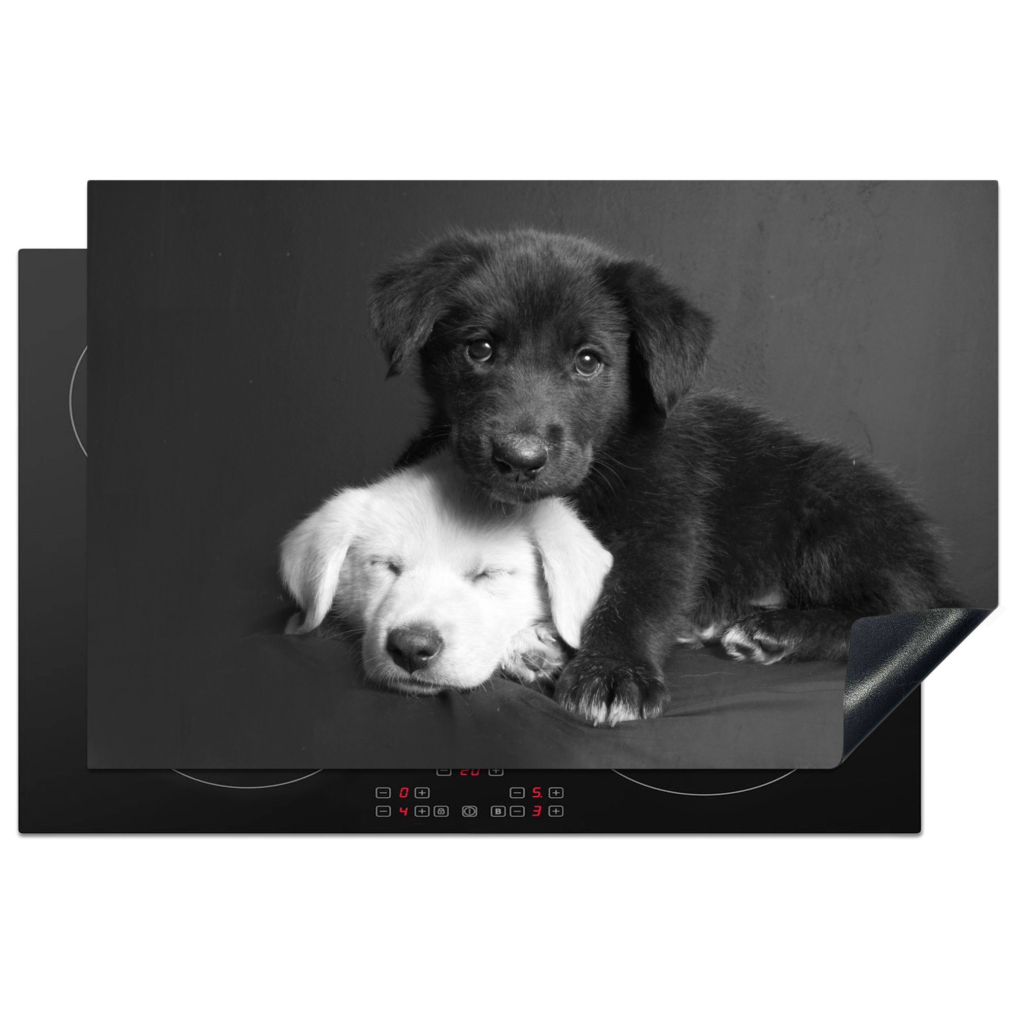 MuchoWow Herdblende-/Abdeckplatte Hunde - Welpe - Schwarz - Weiß - Tiere, Vinyl, (1 tlg), 81x52 cm, Ceranfeldabdeckung, Arbeitsplatte für küche
