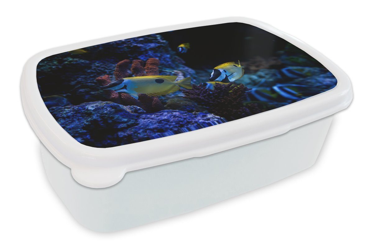 und Brotdose, Mädchen Aquarium einem weiß für Jungs Lunchbox und (2-tlg), Kunststoff, MuchoWow Brotbox Kinder Erwachsene, für Singapur., in in Aquarienfische