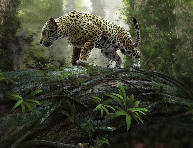 Papermoon Fototapete »Jaguar on the Prowl«, glatt-Otto