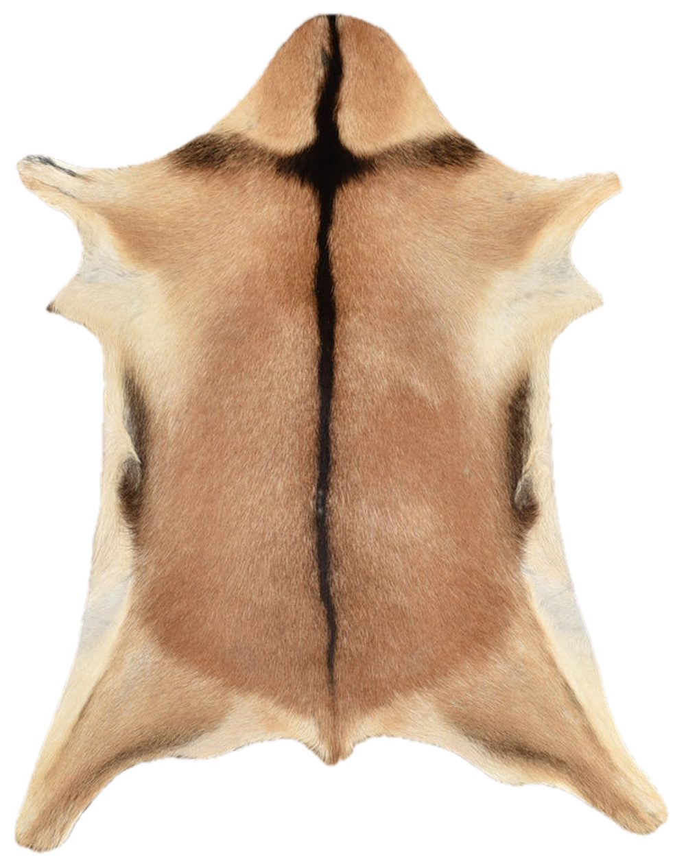 KUHFELL online & NOMAD Fellteppich ECHTES ZIEGENFELL BRAUN BEIGE DEKOFELL 80 x 60 cm