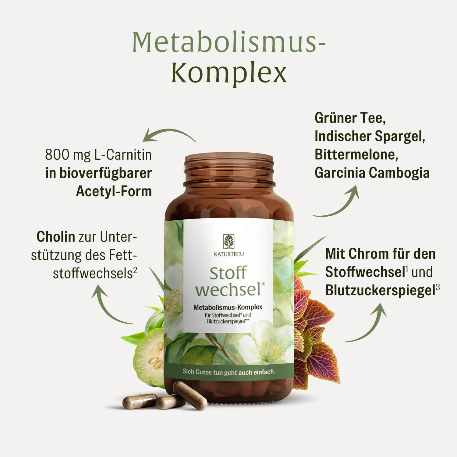 Naturtreu STOFFWECHSEL Kapseln, 120 er 120 St., 65 g, Durchdachte Entwicklung, Vegan, Laborgeprüft, Hochwertige Inhaltstoffe