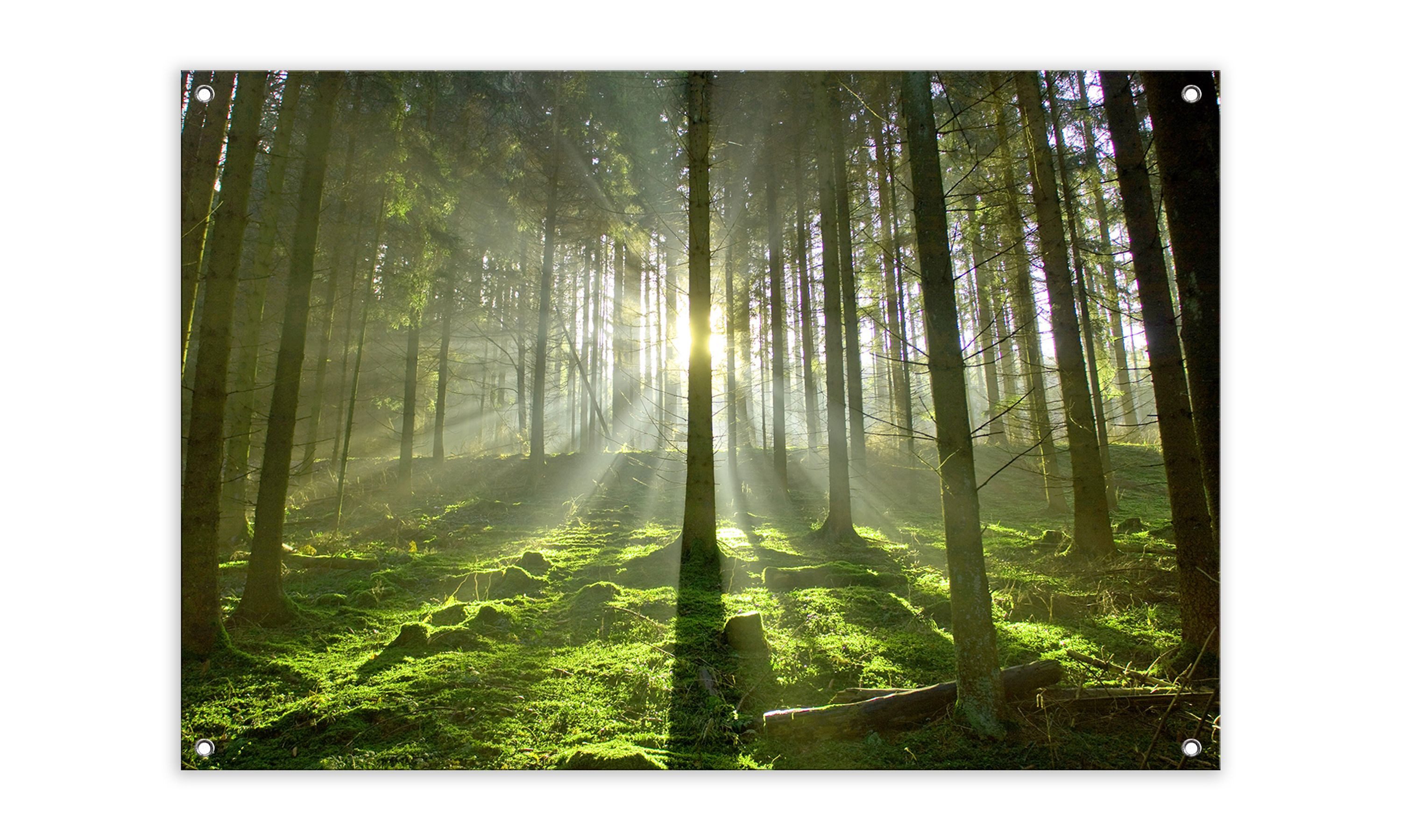 artissimo Poster Garten-Poster 90x60cm Gartendeko Balkon-Deko Outdoor-Deko Natur grün, Outdoor-Poster: Wald & Bäume