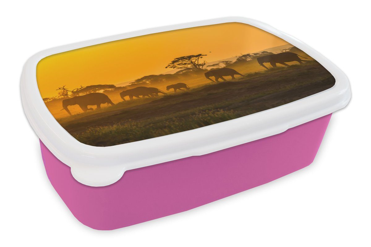 rosa Erwachsene, Brotdose Kunststoff bei Kunststoff, Sonnenaufgang, (2-tlg), Lunchbox Mädchen, für Brotbox Elefantenherde Kinder, MuchoWow Snackbox,