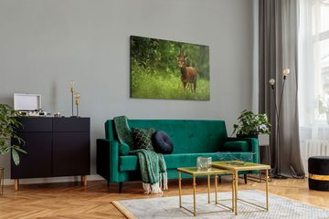 Sinus Art Leinwandbild 120x80cm Wandbild auf Leinwand Junger Hirsch im Wald Natur Grün Tierfo, (1 St)