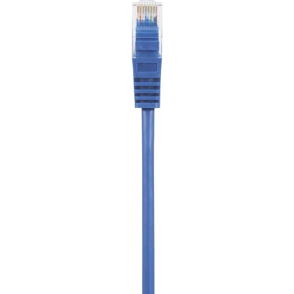 U/UTP Netzwerkkabel LAN-Kabel CAT5e 10 Renkforce m