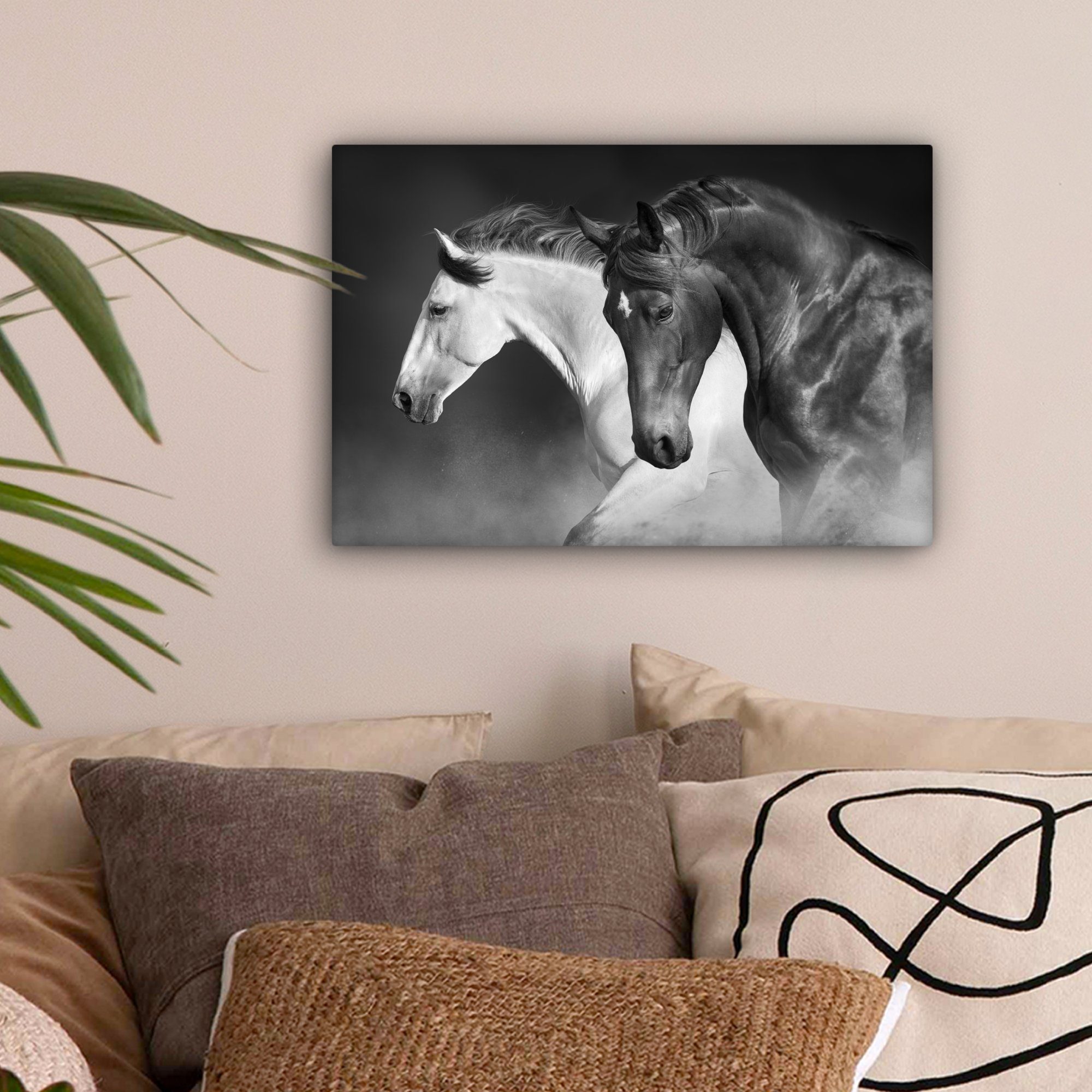 OneMillionCanvasses® Leinwandbild Pferde - Tiere - günstig online kaufen