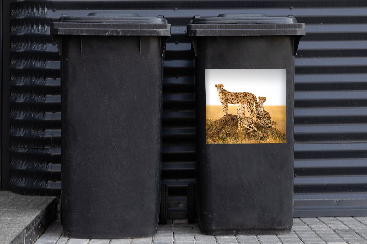 MuchoWow Wandsticker Gepard - Gras Natur Mülltonne, Savanne Container, Abfalbehälter - St), Mülleimer-aufkleber, - Sticker, (1