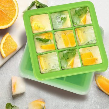 Belle Vous Eiswürfelform Transparente Aufbewahrungsbehälter (2 Stück), Transparente Eiswürfelbehälter für Babynahrung einfrieren (2 Stk)